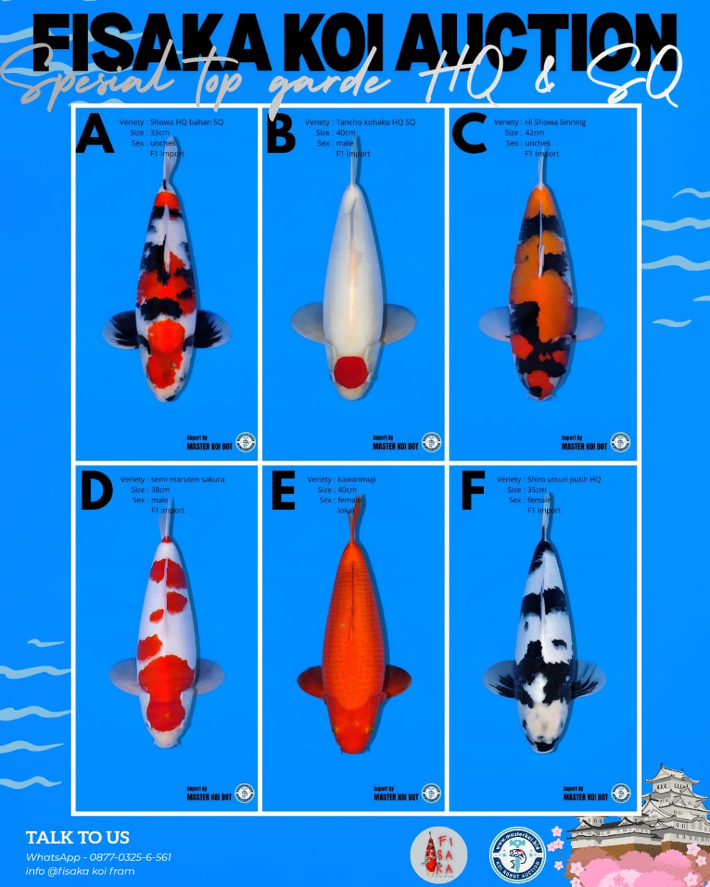 Lelang Koi Online, Jual Beli Ikan Koi, Pasar Koi Terbaik, Agen Lelang Koi, Penawaran Koi Berkualitas, Harga Jual Koi, Lelang Ikan Koi Import, Beli Koi Online, Jual Koi Murah, Koi Showroom, Penjual Koi Terpercaya, Lelang Koi Jakarta, Jual Koi Lokal, Koi Kualitas Unggul, Harga Terbaik Koi, Jual Koi Indukan, Lelang Ikan Hias Koi, Pasar Koi Indonesia, Beli Koi Berkualitas Tinggi, Koi Farm Terbesar, Jual Beli Koi Impor, Lelang Ikan Koi Kualitas Premium, Daftar Harga Koi Terbaru, Pusat Jual Beli Koi, Info Lelang Koi Hari Ini.