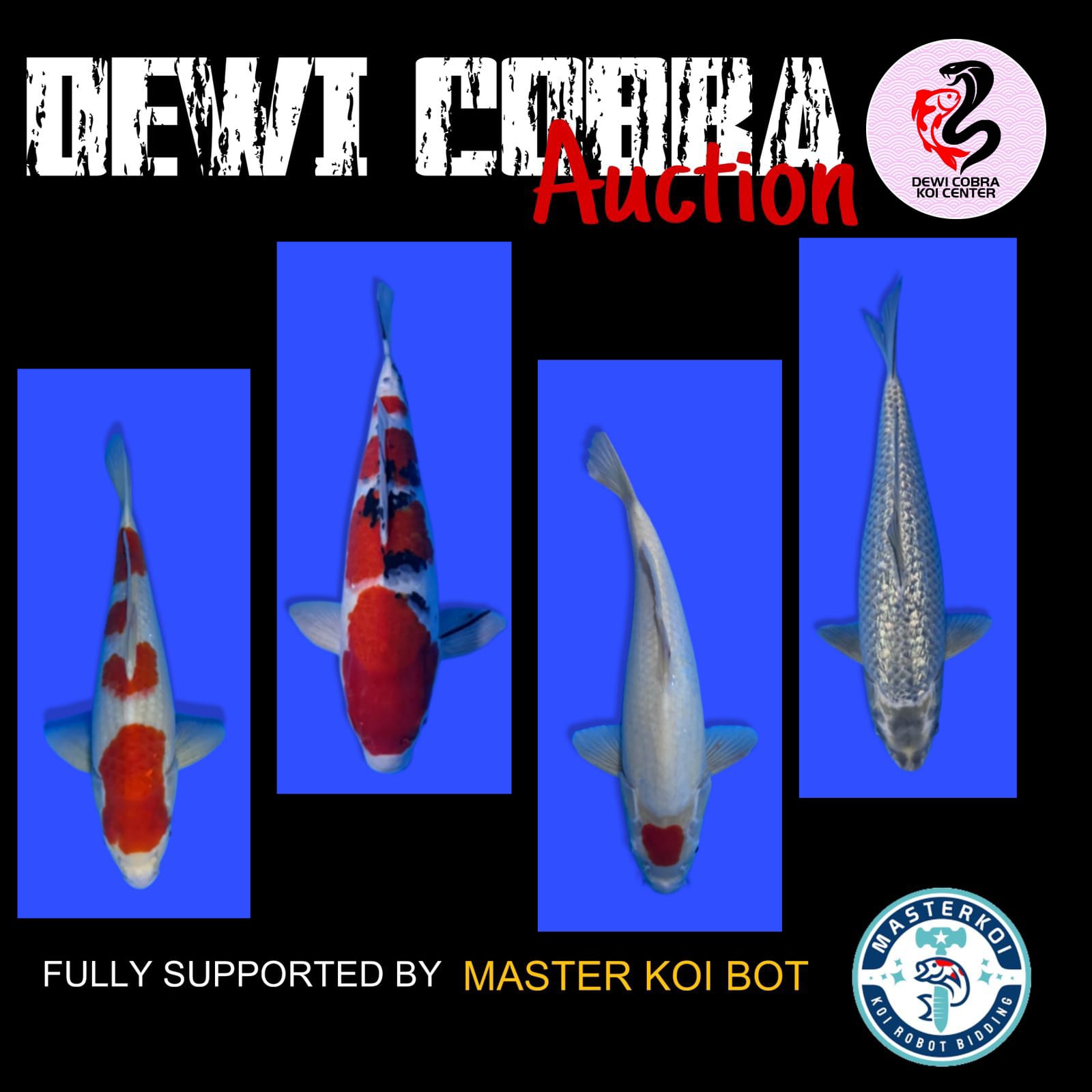 Lelang Koi Online, Jual Beli Ikan Koi, Pasar Koi Terbaik, Agen Lelang Koi, Penawaran Koi Berkualitas, Harga Jual Koi, Lelang Ikan Koi Import, Beli Koi Online, Jual Koi Murah, Koi Showroom, Penjual Koi Terpercaya, Lelang Koi Jakarta, Jual Koi Lokal, Koi Kualitas Unggul, Harga Terbaik Koi, Jual Koi Indukan, Lelang Ikan Hias Koi, Pasar Koi Indonesia, Beli Koi Berkualitas Tinggi, Koi Farm Terbesar, Jual Beli Koi Impor, Lelang Ikan Koi Kualitas Premium, Daftar Harga Koi Terbaru, Pusat Jual Beli Koi, Info Lelang Koi Hari Ini.