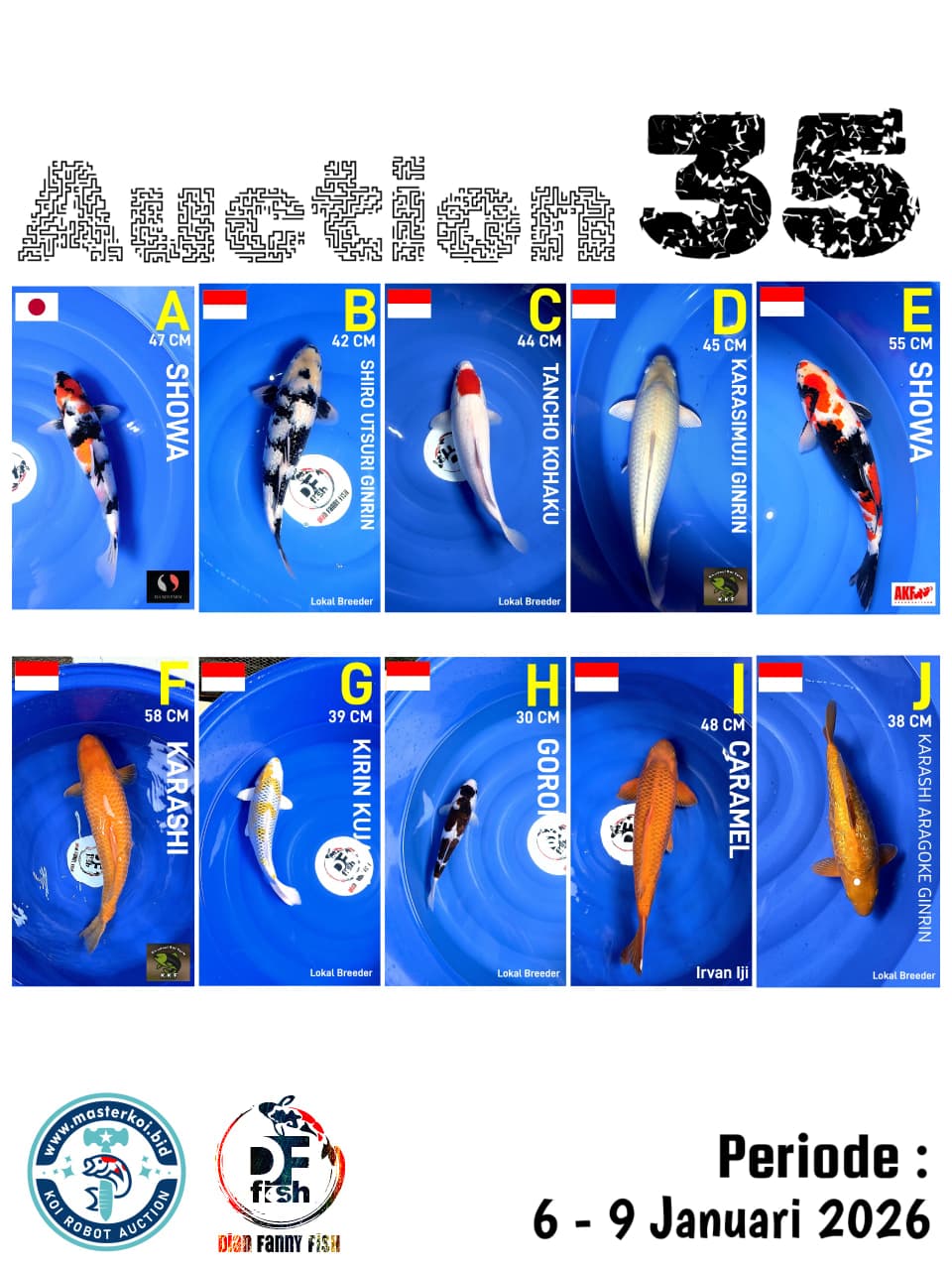 Lelang Koi Online, Jual Beli Ikan Koi, Pasar Koi Terbaik, Agen Lelang Koi, Penawaran Koi Berkualitas, Harga Jual Koi, Lelang Ikan Koi Import, Beli Koi Online, Jual Koi Murah, Koi Showroom, Penjual Koi Terpercaya, Lelang Koi Jakarta, Jual Koi Lokal, Koi Kualitas Unggul, Harga Terbaik Koi, Jual Koi Indukan, Lelang Ikan Hias Koi, Pasar Koi Indonesia, Beli Koi Berkualitas Tinggi, Koi Farm Terbesar, Jual Beli Koi Impor, Lelang Ikan Koi Kualitas Premium, Daftar Harga Koi Terbaru, Pusat Jual Beli Koi, Info Lelang Koi Hari Ini.