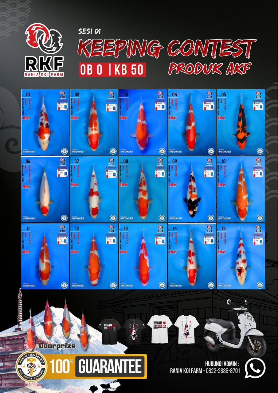 Lelang Koi Online, Jual Beli Ikan Koi, Pasar Koi Terbaik, Agen Lelang Koi, Penawaran Koi Berkualitas, Harga Jual Koi, Lelang Ikan Koi Import, Beli Koi Online, Jual Koi Murah, Koi Showroom, Penjual Koi Terpercaya, Lelang Koi Jakarta, Jual Koi Lokal, Koi Kualitas Unggul, Harga Terbaik Koi, Jual Koi Indukan, Lelang Ikan Hias Koi, Pasar Koi Indonesia, Beli Koi Berkualitas Tinggi, Koi Farm Terbesar, Jual Beli Koi Impor, Lelang Ikan Koi Kualitas Premium, Daftar Harga Koi Terbaru, Pusat Jual Beli Koi, Info Lelang Koi Hari Ini.