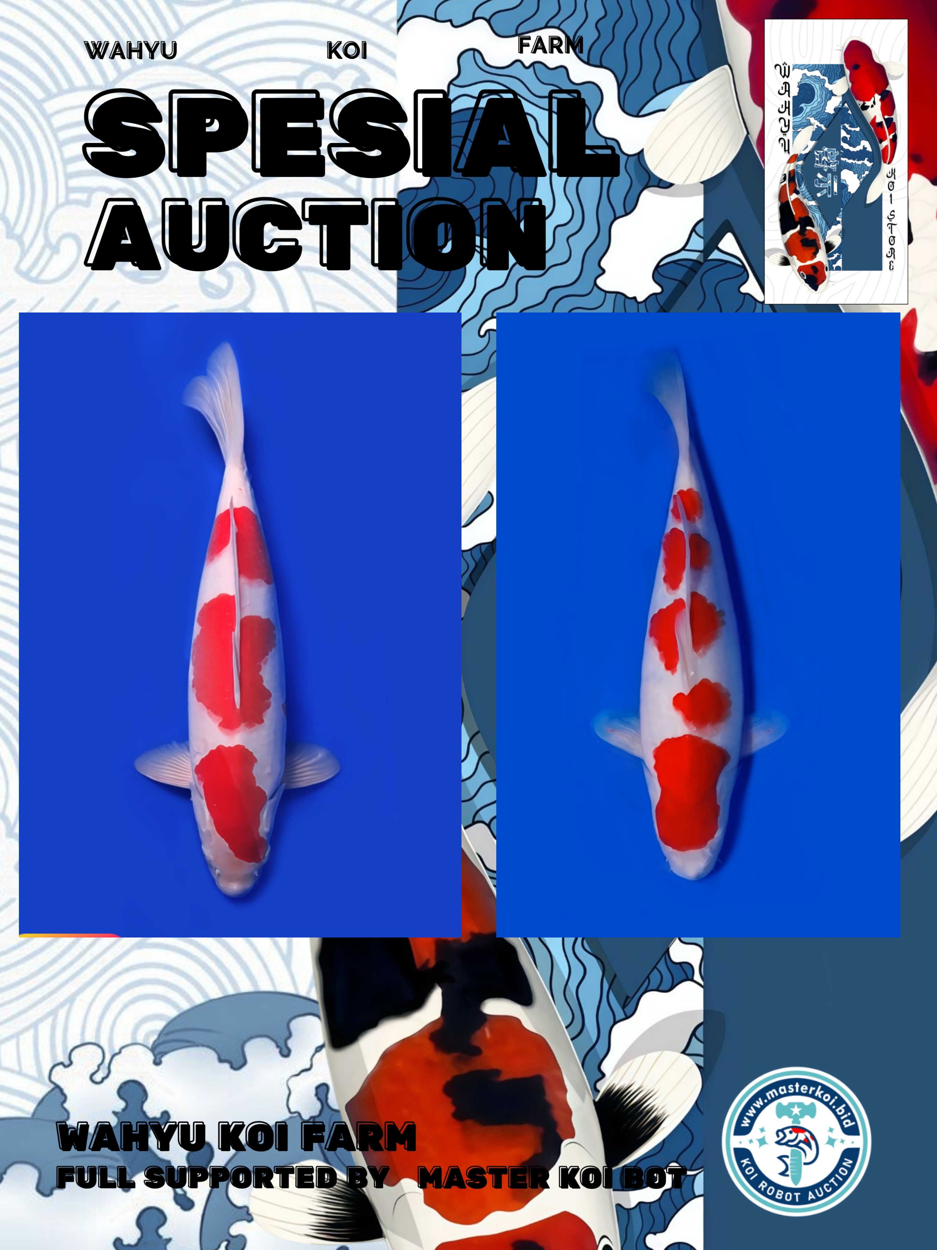 Lelang Koi Online, Jual Beli Ikan Koi, Pasar Koi Terbaik, Agen Lelang Koi, Penawaran Koi Berkualitas, Harga Jual Koi, Lelang Ikan Koi Import, Beli Koi Online, Jual Koi Murah, Koi Showroom, Penjual Koi Terpercaya, Lelang Koi Jakarta, Jual Koi Lokal, Koi Kualitas Unggul, Harga Terbaik Koi, Jual Koi Indukan, Lelang Ikan Hias Koi, Pasar Koi Indonesia, Beli Koi Berkualitas Tinggi, Koi Farm Terbesar, Jual Beli Koi Impor, Lelang Ikan Koi Kualitas Premium, Daftar Harga Koi Terbaru, Pusat Jual Beli Koi, Info Lelang Koi Hari Ini.