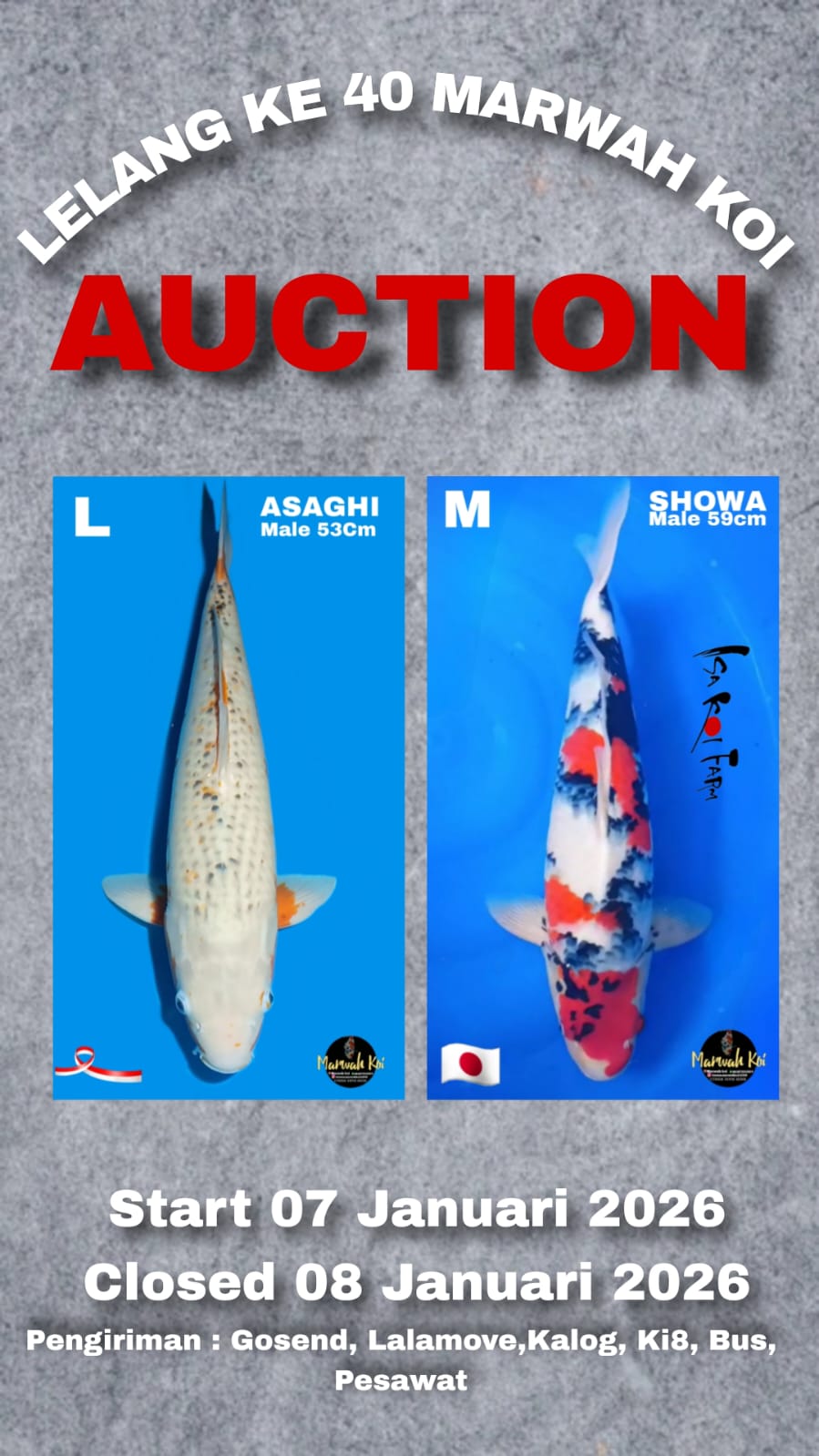 Lelang Koi Online, Jual Beli Ikan Koi, Pasar Koi Terbaik, Agen Lelang Koi, Penawaran Koi Berkualitas, Harga Jual Koi, Lelang Ikan Koi Import, Beli Koi Online, Jual Koi Murah, Koi Showroom, Penjual Koi Terpercaya, Lelang Koi Jakarta, Jual Koi Lokal, Koi Kualitas Unggul, Harga Terbaik Koi, Jual Koi Indukan, Lelang Ikan Hias Koi, Pasar Koi Indonesia, Beli Koi Berkualitas Tinggi, Koi Farm Terbesar, Jual Beli Koi Impor, Lelang Ikan Koi Kualitas Premium, Daftar Harga Koi Terbaru, Pusat Jual Beli Koi, Info Lelang Koi Hari Ini.