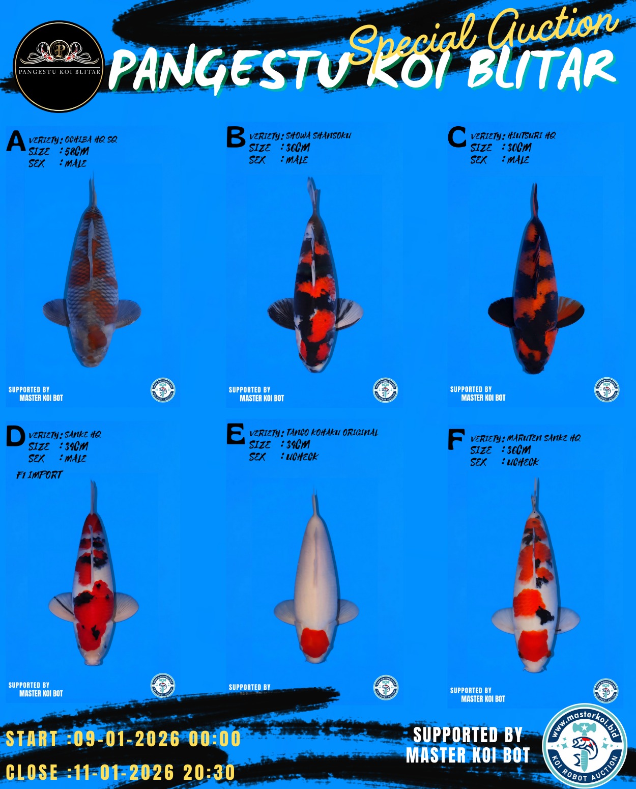 Lelang Koi Online, Jual Beli Ikan Koi, Pasar Koi Terbaik, Agen Lelang Koi, Penawaran Koi Berkualitas, Harga Jual Koi, Lelang Ikan Koi Import, Beli Koi Online, Jual Koi Murah, Koi Showroom, Penjual Koi Terpercaya, Lelang Koi Jakarta, Jual Koi Lokal, Koi Kualitas Unggul, Harga Terbaik Koi, Jual Koi Indukan, Lelang Ikan Hias Koi, Pasar Koi Indonesia, Beli Koi Berkualitas Tinggi, Koi Farm Terbesar, Jual Beli Koi Impor, Lelang Ikan Koi Kualitas Premium, Daftar Harga Koi Terbaru, Pusat Jual Beli Koi, Info Lelang Koi Hari Ini.