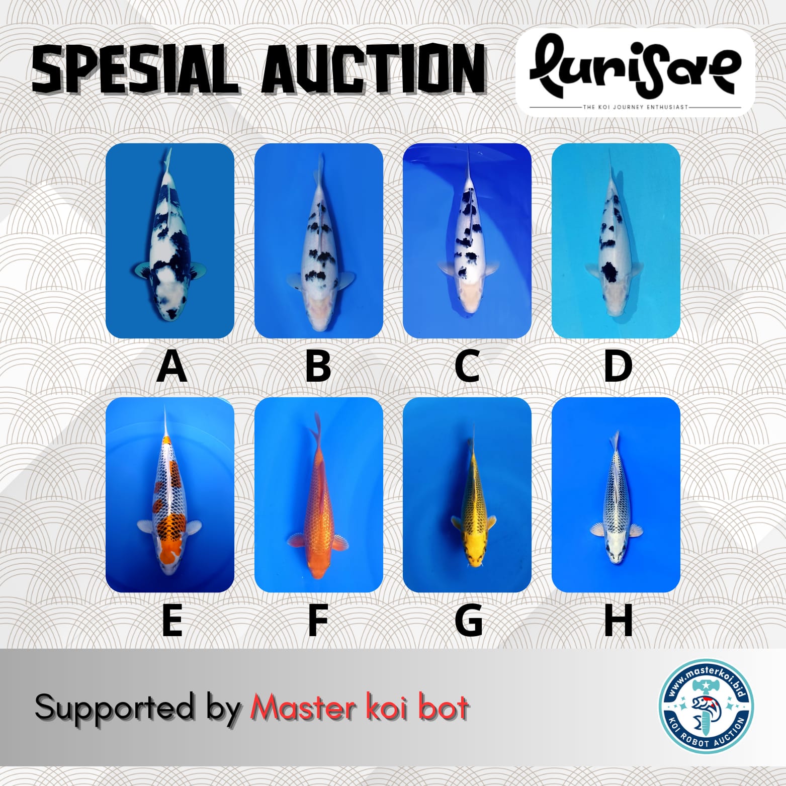 Lelang Koi Online, Jual Beli Ikan Koi, Pasar Koi Terbaik, Agen Lelang Koi, Penawaran Koi Berkualitas, Harga Jual Koi, Lelang Ikan Koi Import, Beli Koi Online, Jual Koi Murah, Koi Showroom, Penjual Koi Terpercaya, Lelang Koi Jakarta, Jual Koi Lokal, Koi Kualitas Unggul, Harga Terbaik Koi, Jual Koi Indukan, Lelang Ikan Hias Koi, Pasar Koi Indonesia, Beli Koi Berkualitas Tinggi, Koi Farm Terbesar, Jual Beli Koi Impor, Lelang Ikan Koi Kualitas Premium, Daftar Harga Koi Terbaru, Pusat Jual Beli Koi, Info Lelang Koi Hari Ini.