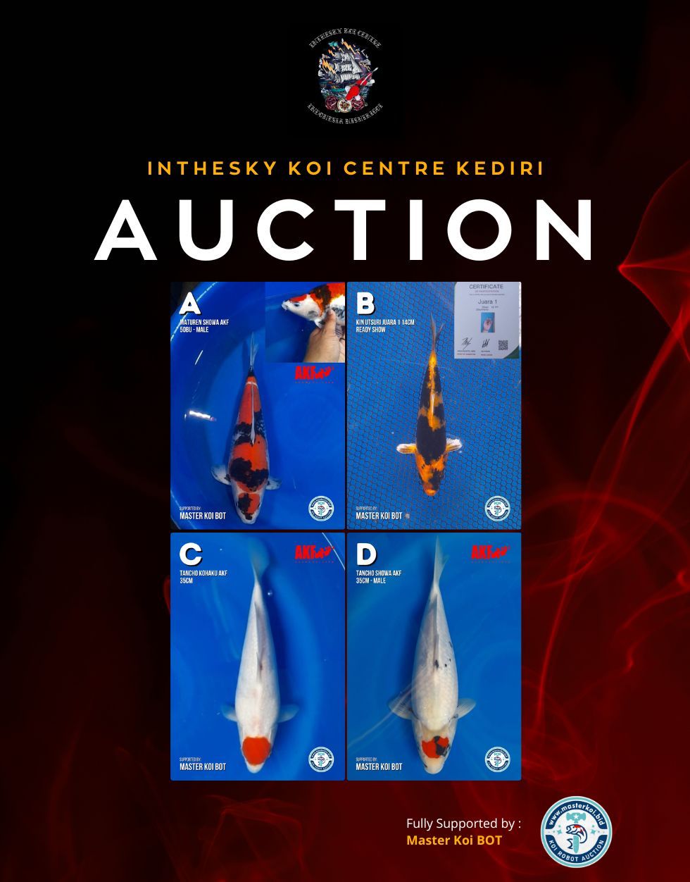 Lelang Koi Online, Jual Beli Ikan Koi, Pasar Koi Terbaik, Agen Lelang Koi, Penawaran Koi Berkualitas, Harga Jual Koi, Lelang Ikan Koi Import, Beli Koi Online, Jual Koi Murah, Koi Showroom, Penjual Koi Terpercaya, Lelang Koi Jakarta, Jual Koi Lokal, Koi Kualitas Unggul, Harga Terbaik Koi, Jual Koi Indukan, Lelang Ikan Hias Koi, Pasar Koi Indonesia, Beli Koi Berkualitas Tinggi, Koi Farm Terbesar, Jual Beli Koi Impor, Lelang Ikan Koi Kualitas Premium, Daftar Harga Koi Terbaru, Pusat Jual Beli Koi, Info Lelang Koi Hari Ini.