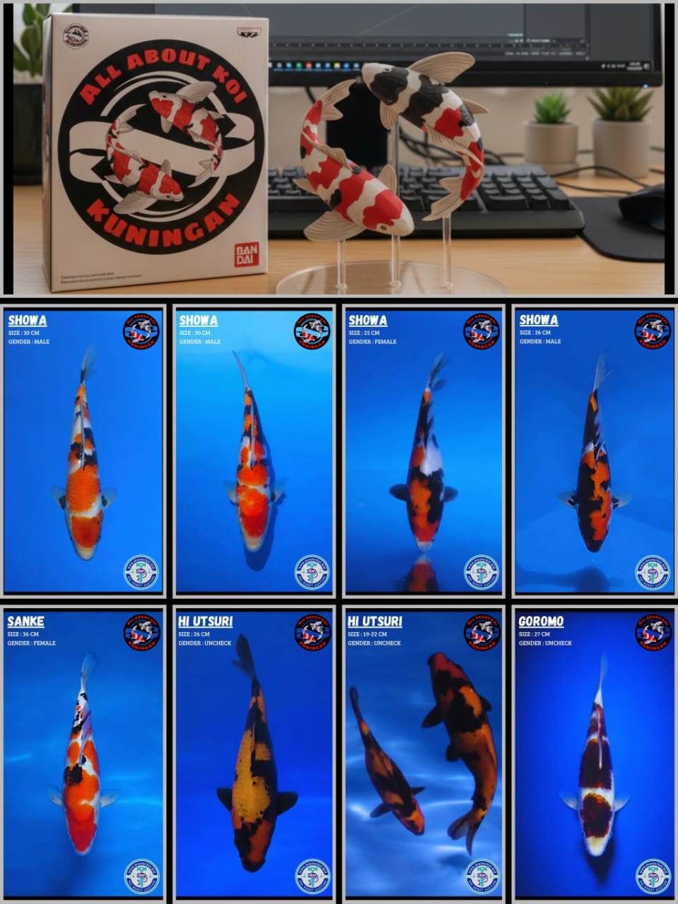 Lelang Koi Online, Jual Beli Ikan Koi, Pasar Koi Terbaik, Agen Lelang Koi, Penawaran Koi Berkualitas, Harga Jual Koi, Lelang Ikan Koi Import, Beli Koi Online, Jual Koi Murah, Koi Showroom, Penjual Koi Terpercaya, Lelang Koi Jakarta, Jual Koi Lokal, Koi Kualitas Unggul, Harga Terbaik Koi, Jual Koi Indukan, Lelang Ikan Hias Koi, Pasar Koi Indonesia, Beli Koi Berkualitas Tinggi, Koi Farm Terbesar, Jual Beli Koi Impor, Lelang Ikan Koi Kualitas Premium, Daftar Harga Koi Terbaru, Pusat Jual Beli Koi, Info Lelang Koi Hari Ini.