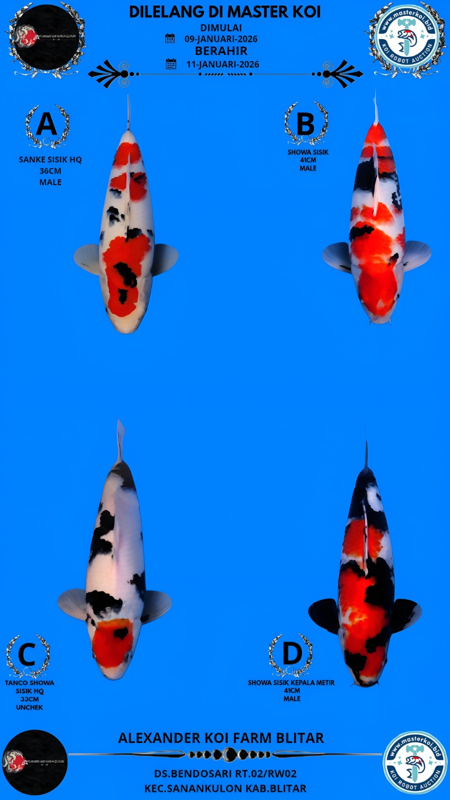 Lelang Koi Online, Jual Beli Ikan Koi, Pasar Koi Terbaik, Agen Lelang Koi, Penawaran Koi Berkualitas, Harga Jual Koi, Lelang Ikan Koi Import, Beli Koi Online, Jual Koi Murah, Koi Showroom, Penjual Koi Terpercaya, Lelang Koi Jakarta, Jual Koi Lokal, Koi Kualitas Unggul, Harga Terbaik Koi, Jual Koi Indukan, Lelang Ikan Hias Koi, Pasar Koi Indonesia, Beli Koi Berkualitas Tinggi, Koi Farm Terbesar, Jual Beli Koi Impor, Lelang Ikan Koi Kualitas Premium, Daftar Harga Koi Terbaru, Pusat Jual Beli Koi, Info Lelang Koi Hari Ini.