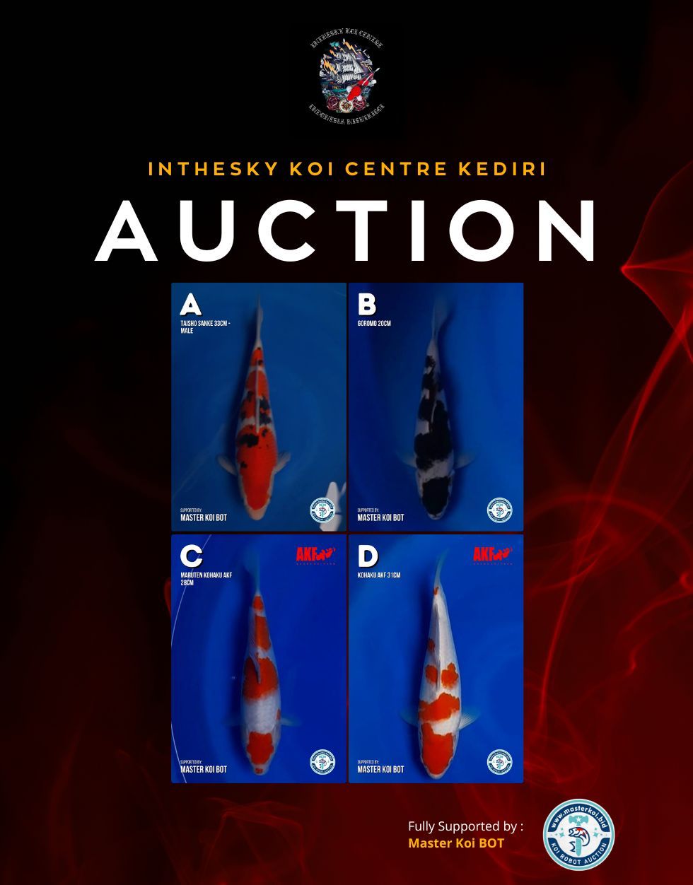 Lelang Koi Online, Jual Beli Ikan Koi, Pasar Koi Terbaik, Agen Lelang Koi, Penawaran Koi Berkualitas, Harga Jual Koi, Lelang Ikan Koi Import, Beli Koi Online, Jual Koi Murah, Koi Showroom, Penjual Koi Terpercaya, Lelang Koi Jakarta, Jual Koi Lokal, Koi Kualitas Unggul, Harga Terbaik Koi, Jual Koi Indukan, Lelang Ikan Hias Koi, Pasar Koi Indonesia, Beli Koi Berkualitas Tinggi, Koi Farm Terbesar, Jual Beli Koi Impor, Lelang Ikan Koi Kualitas Premium, Daftar Harga Koi Terbaru, Pusat Jual Beli Koi, Info Lelang Koi Hari Ini.