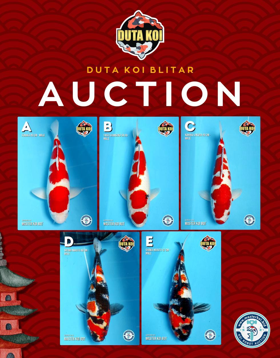 Lelang Koi Online, Jual Beli Ikan Koi, Pasar Koi Terbaik, Agen Lelang Koi, Penawaran Koi Berkualitas, Harga Jual Koi, Lelang Ikan Koi Import, Beli Koi Online, Jual Koi Murah, Koi Showroom, Penjual Koi Terpercaya, Lelang Koi Jakarta, Jual Koi Lokal, Koi Kualitas Unggul, Harga Terbaik Koi, Jual Koi Indukan, Lelang Ikan Hias Koi, Pasar Koi Indonesia, Beli Koi Berkualitas Tinggi, Koi Farm Terbesar, Jual Beli Koi Impor, Lelang Ikan Koi Kualitas Premium, Daftar Harga Koi Terbaru, Pusat Jual Beli Koi, Info Lelang Koi Hari Ini.