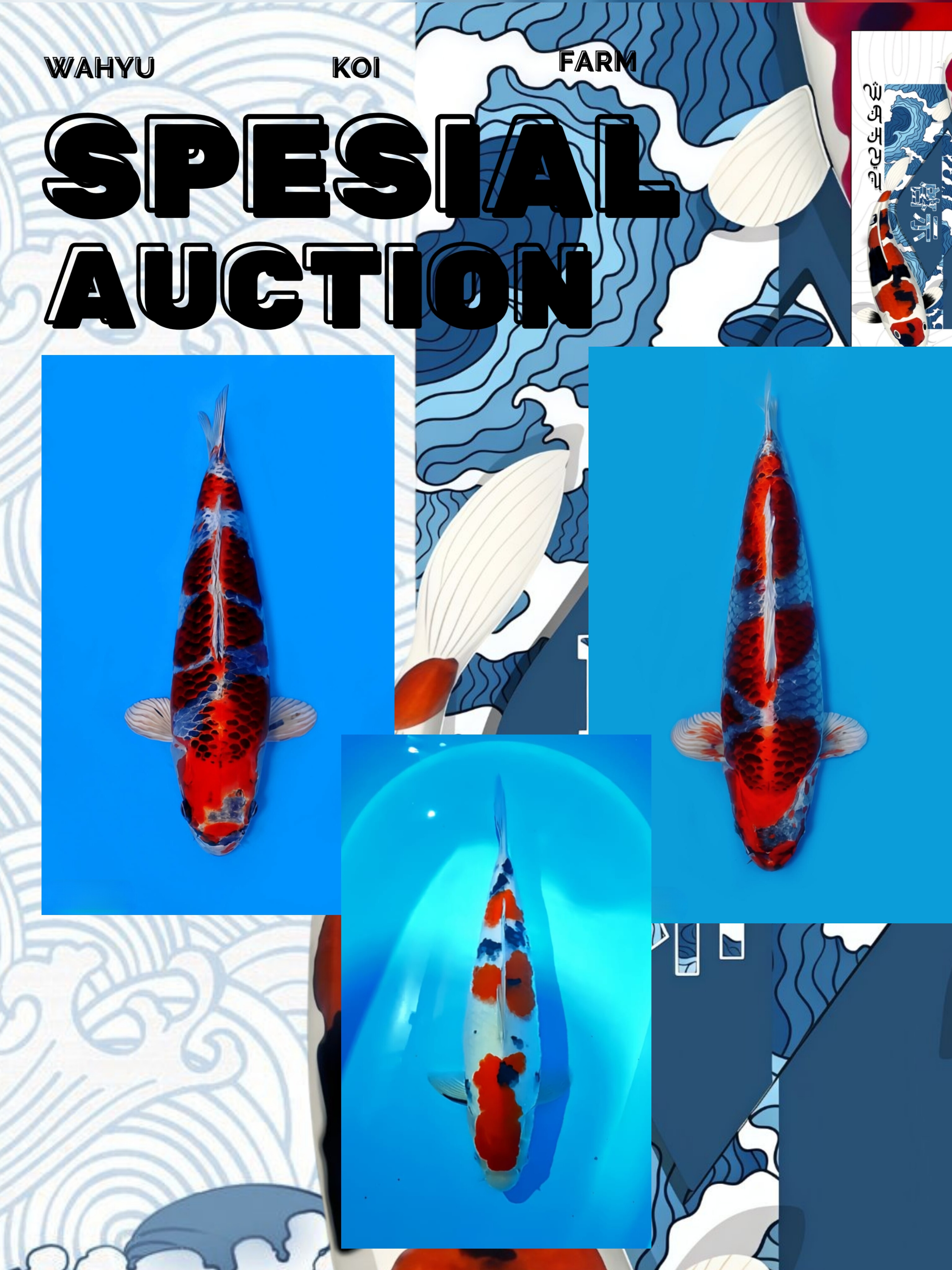 Lelang Koi Online, Jual Beli Ikan Koi, Pasar Koi Terbaik, Agen Lelang Koi, Penawaran Koi Berkualitas, Harga Jual Koi, Lelang Ikan Koi Import, Beli Koi Online, Jual Koi Murah, Koi Showroom, Penjual Koi Terpercaya, Lelang Koi Jakarta, Jual Koi Lokal, Koi Kualitas Unggul, Harga Terbaik Koi, Jual Koi Indukan, Lelang Ikan Hias Koi, Pasar Koi Indonesia, Beli Koi Berkualitas Tinggi, Koi Farm Terbesar, Jual Beli Koi Impor, Lelang Ikan Koi Kualitas Premium, Daftar Harga Koi Terbaru, Pusat Jual Beli Koi, Info Lelang Koi Hari Ini.