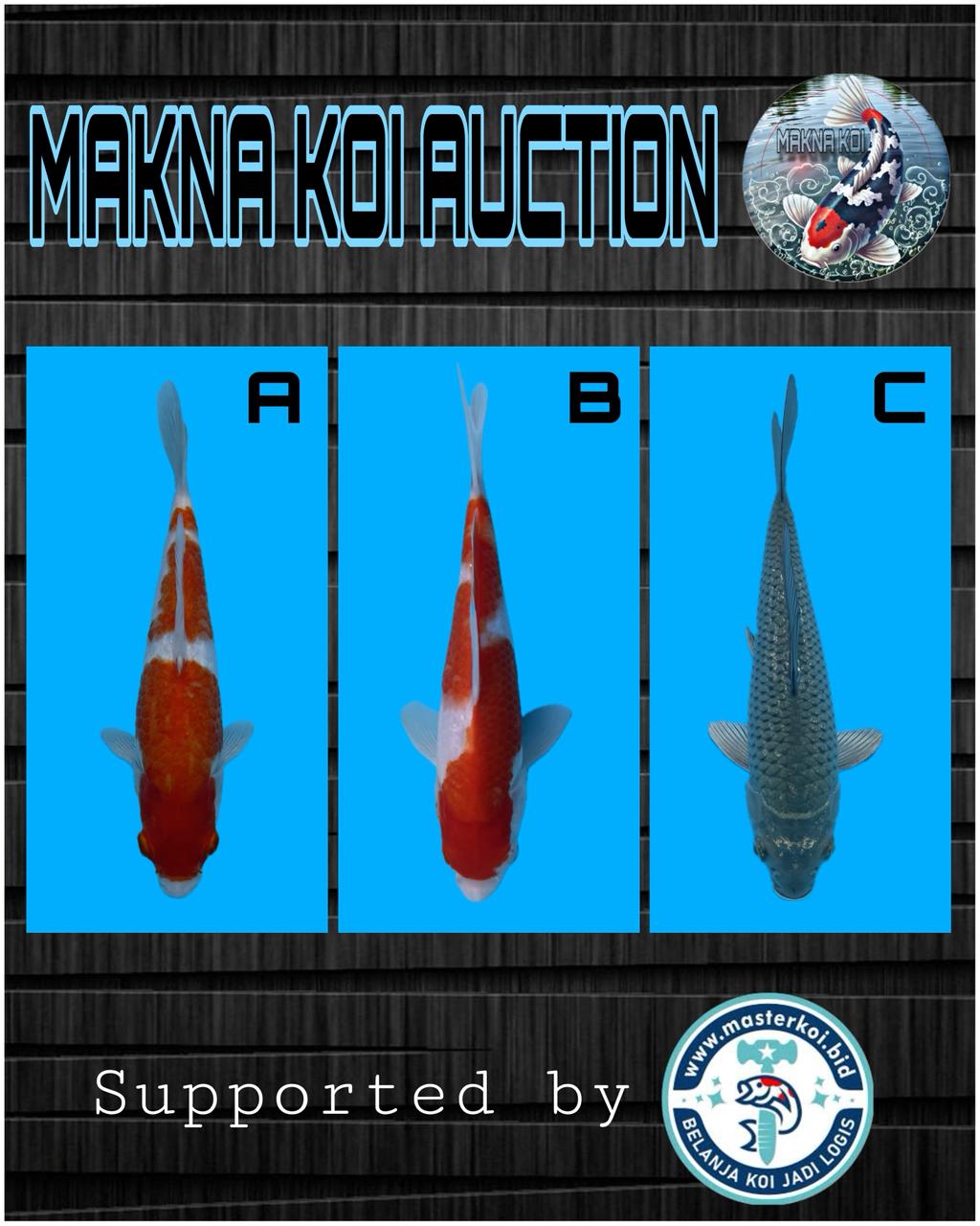 Lelang Koi Online, Jual Beli Ikan Koi, Pasar Koi Terbaik, Agen Lelang Koi, Penawaran Koi Berkualitas, Harga Jual Koi, Lelang Ikan Koi Import, Beli Koi Online, Jual Koi Murah, Koi Showroom, Penjual Koi Terpercaya, Lelang Koi Jakarta, Jual Koi Lokal, Koi Kualitas Unggul, Harga Terbaik Koi, Jual Koi Indukan, Lelang Ikan Hias Koi, Pasar Koi Indonesia, Beli Koi Berkualitas Tinggi, Koi Farm Terbesar, Jual Beli Koi Impor, Lelang Ikan Koi Kualitas Premium, Daftar Harga Koi Terbaru, Pusat Jual Beli Koi, Info Lelang Koi Hari Ini.