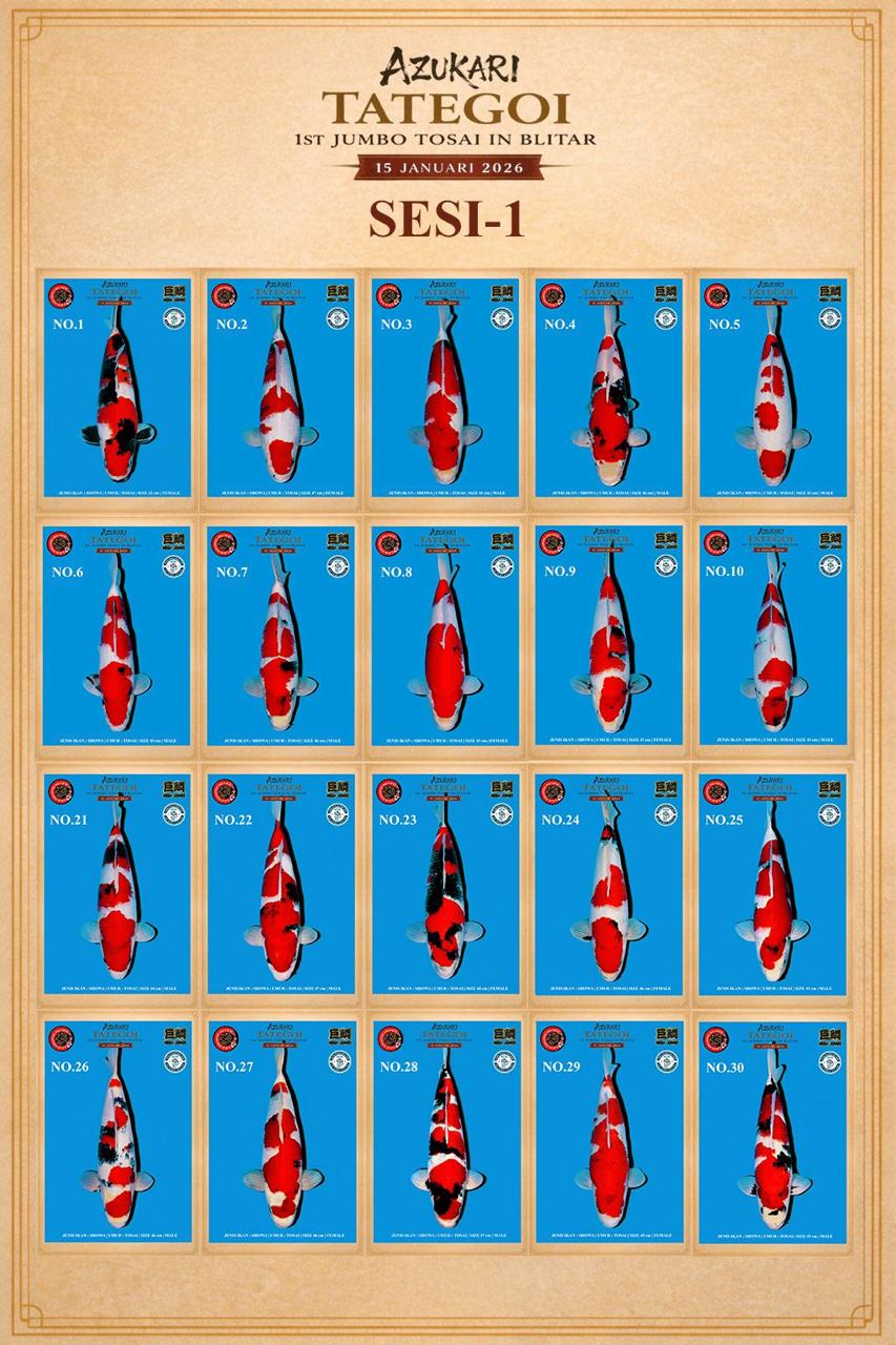 Lelang Koi Online, Jual Beli Ikan Koi, Pasar Koi Terbaik, Agen Lelang Koi, Penawaran Koi Berkualitas, Harga Jual Koi, Lelang Ikan Koi Import, Beli Koi Online, Jual Koi Murah, Koi Showroom, Penjual Koi Terpercaya, Lelang Koi Jakarta, Jual Koi Lokal, Koi Kualitas Unggul, Harga Terbaik Koi, Jual Koi Indukan, Lelang Ikan Hias Koi, Pasar Koi Indonesia, Beli Koi Berkualitas Tinggi, Koi Farm Terbesar, Jual Beli Koi Impor, Lelang Ikan Koi Kualitas Premium, Daftar Harga Koi Terbaru, Pusat Jual Beli Koi, Info Lelang Koi Hari Ini.