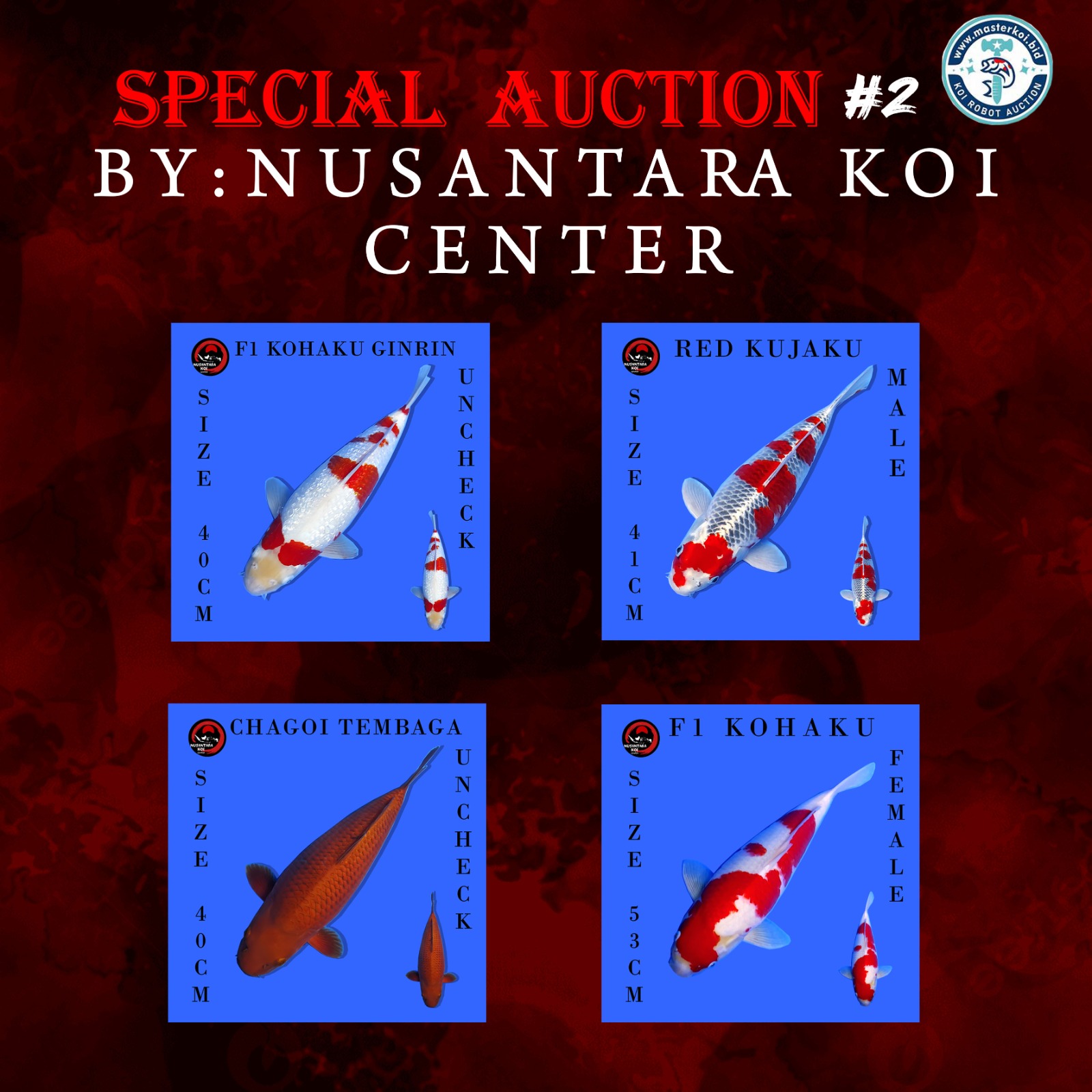 Lelang Koi Online, Jual Beli Ikan Koi, Pasar Koi Terbaik, Agen Lelang Koi, Penawaran Koi Berkualitas, Harga Jual Koi, Lelang Ikan Koi Import, Beli Koi Online, Jual Koi Murah, Koi Showroom, Penjual Koi Terpercaya, Lelang Koi Jakarta, Jual Koi Lokal, Koi Kualitas Unggul, Harga Terbaik Koi, Jual Koi Indukan, Lelang Ikan Hias Koi, Pasar Koi Indonesia, Beli Koi Berkualitas Tinggi, Koi Farm Terbesar, Jual Beli Koi Impor, Lelang Ikan Koi Kualitas Premium, Daftar Harga Koi Terbaru, Pusat Jual Beli Koi, Info Lelang Koi Hari Ini.