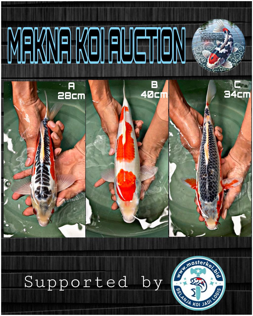 Lelang Koi Online, Jual Beli Ikan Koi, Pasar Koi Terbaik, Agen Lelang Koi, Penawaran Koi Berkualitas, Harga Jual Koi, Lelang Ikan Koi Import, Beli Koi Online, Jual Koi Murah, Koi Showroom, Penjual Koi Terpercaya, Lelang Koi Jakarta, Jual Koi Lokal, Koi Kualitas Unggul, Harga Terbaik Koi, Jual Koi Indukan, Lelang Ikan Hias Koi, Pasar Koi Indonesia, Beli Koi Berkualitas Tinggi, Koi Farm Terbesar, Jual Beli Koi Impor, Lelang Ikan Koi Kualitas Premium, Daftar Harga Koi Terbaru, Pusat Jual Beli Koi, Info Lelang Koi Hari Ini.