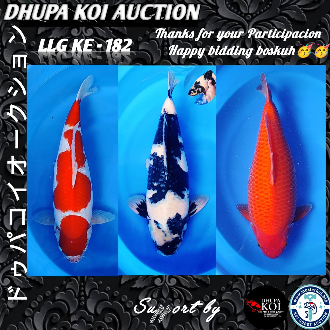 Lelang Koi Online, Jual Beli Ikan Koi, Pasar Koi Terbaik, Agen Lelang Koi, Penawaran Koi Berkualitas, Harga Jual Koi, Lelang Ikan Koi Import, Beli Koi Online, Jual Koi Murah, Koi Showroom, Penjual Koi Terpercaya, Lelang Koi Jakarta, Jual Koi Lokal, Koi Kualitas Unggul, Harga Terbaik Koi, Jual Koi Indukan, Lelang Ikan Hias Koi, Pasar Koi Indonesia, Beli Koi Berkualitas Tinggi, Koi Farm Terbesar, Jual Beli Koi Impor, Lelang Ikan Koi Kualitas Premium, Daftar Harga Koi Terbaru, Pusat Jual Beli Koi, Info Lelang Koi Hari Ini.