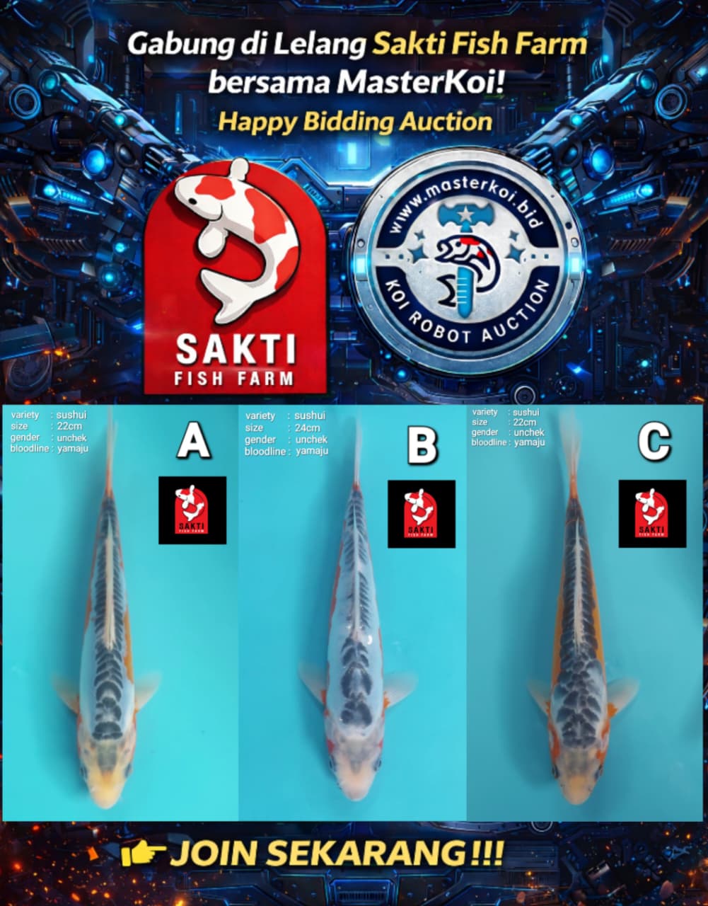 Lelang Koi Online, Jual Beli Ikan Koi, Pasar Koi Terbaik, Agen Lelang Koi, Penawaran Koi Berkualitas, Harga Jual Koi, Lelang Ikan Koi Import, Beli Koi Online, Jual Koi Murah, Koi Showroom, Penjual Koi Terpercaya, Lelang Koi Jakarta, Jual Koi Lokal, Koi Kualitas Unggul, Harga Terbaik Koi, Jual Koi Indukan, Lelang Ikan Hias Koi, Pasar Koi Indonesia, Beli Koi Berkualitas Tinggi, Koi Farm Terbesar, Jual Beli Koi Impor, Lelang Ikan Koi Kualitas Premium, Daftar Harga Koi Terbaru, Pusat Jual Beli Koi, Info Lelang Koi Hari Ini.