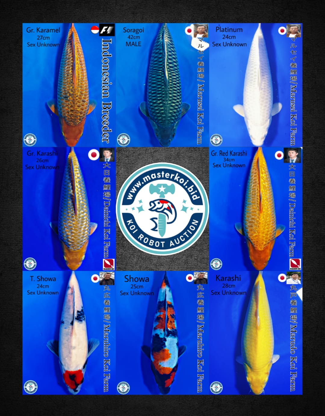 Lelang Koi Online, Jual Beli Ikan Koi, Pasar Koi Terbaik, Agen Lelang Koi, Penawaran Koi Berkualitas, Harga Jual Koi, Lelang Ikan Koi Import, Beli Koi Online, Jual Koi Murah, Koi Showroom, Penjual Koi Terpercaya, Lelang Koi Jakarta, Jual Koi Lokal, Koi Kualitas Unggul, Harga Terbaik Koi, Jual Koi Indukan, Lelang Ikan Hias Koi, Pasar Koi Indonesia, Beli Koi Berkualitas Tinggi, Koi Farm Terbesar, Jual Beli Koi Impor, Lelang Ikan Koi Kualitas Premium, Daftar Harga Koi Terbaru, Pusat Jual Beli Koi, Info Lelang Koi Hari Ini.