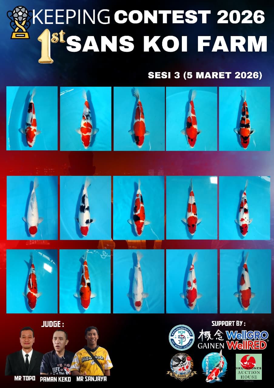 Lelang Koi Online, Jual Beli Ikan Koi, Pasar Koi Terbaik, Agen Lelang Koi, Penawaran Koi Berkualitas, Harga Jual Koi, Lelang Ikan Koi Import, Beli Koi Online, Jual Koi Murah, Koi Showroom, Penjual Koi Terpercaya, Lelang Koi Jakarta, Jual Koi Lokal, Koi Kualitas Unggul, Harga Terbaik Koi, Jual Koi Indukan, Lelang Ikan Hias Koi, Pasar Koi Indonesia, Beli Koi Berkualitas Tinggi, Koi Farm Terbesar, Jual Beli Koi Impor, Lelang Ikan Koi Kualitas Premium, Daftar Harga Koi Terbaru, Pusat Jual Beli Koi, Info Lelang Koi Hari Ini.