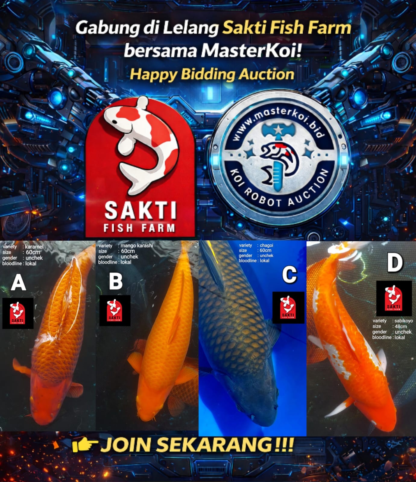 Lelang Koi Online, Jual Beli Ikan Koi, Pasar Koi Terbaik, Agen Lelang Koi, Penawaran Koi Berkualitas, Harga Jual Koi, Lelang Ikan Koi Import, Beli Koi Online, Jual Koi Murah, Koi Showroom, Penjual Koi Terpercaya, Lelang Koi Jakarta, Jual Koi Lokal, Koi Kualitas Unggul, Harga Terbaik Koi, Jual Koi Indukan, Lelang Ikan Hias Koi, Pasar Koi Indonesia, Beli Koi Berkualitas Tinggi, Koi Farm Terbesar, Jual Beli Koi Impor, Lelang Ikan Koi Kualitas Premium, Daftar Harga Koi Terbaru, Pusat Jual Beli Koi, Info Lelang Koi Hari Ini.