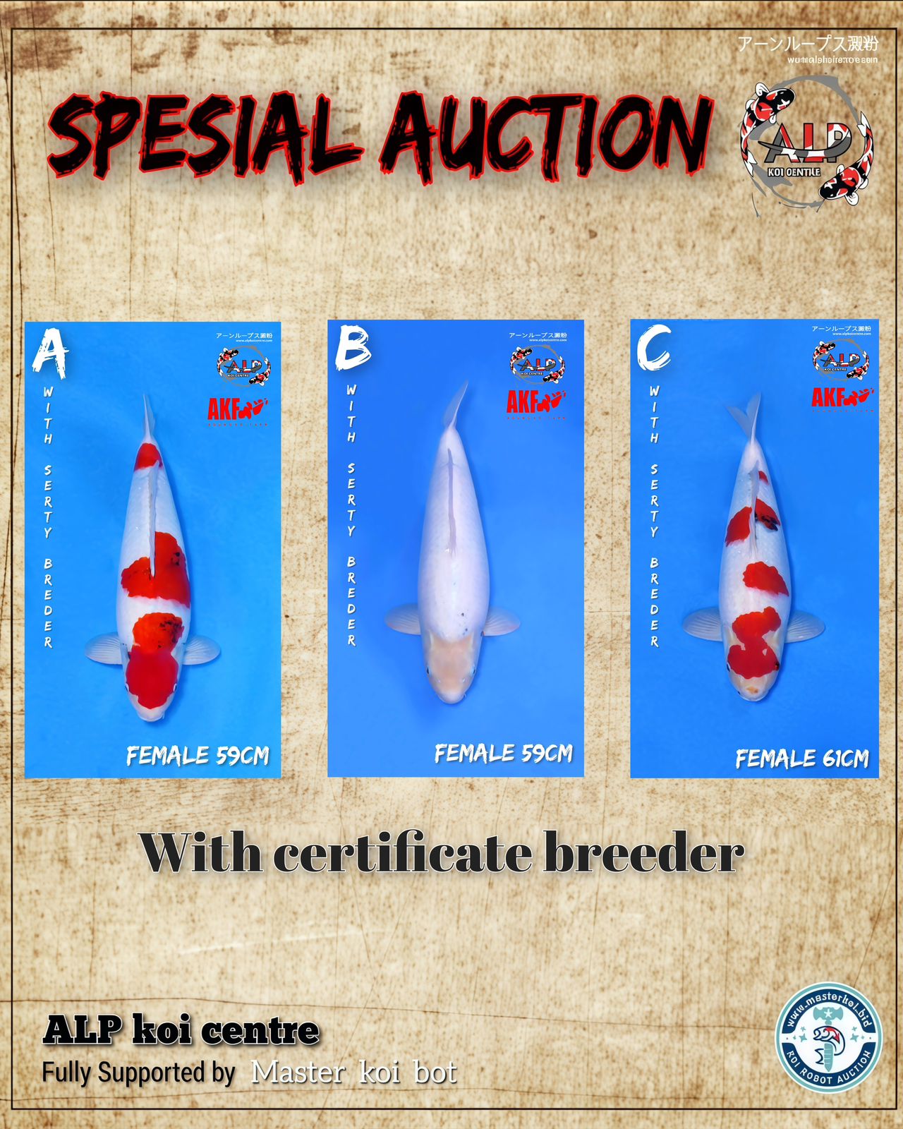 Lelang Koi Online, Jual Beli Ikan Koi, Pasar Koi Terbaik, Agen Lelang Koi, Penawaran Koi Berkualitas, Harga Jual Koi, Lelang Ikan Koi Import, Beli Koi Online, Jual Koi Murah, Koi Showroom, Penjual Koi Terpercaya, Lelang Koi Jakarta, Jual Koi Lokal, Koi Kualitas Unggul, Harga Terbaik Koi, Jual Koi Indukan, Lelang Ikan Hias Koi, Pasar Koi Indonesia, Beli Koi Berkualitas Tinggi, Koi Farm Terbesar, Jual Beli Koi Impor, Lelang Ikan Koi Kualitas Premium, Daftar Harga Koi Terbaru, Pusat Jual Beli Koi, Info Lelang Koi Hari Ini.