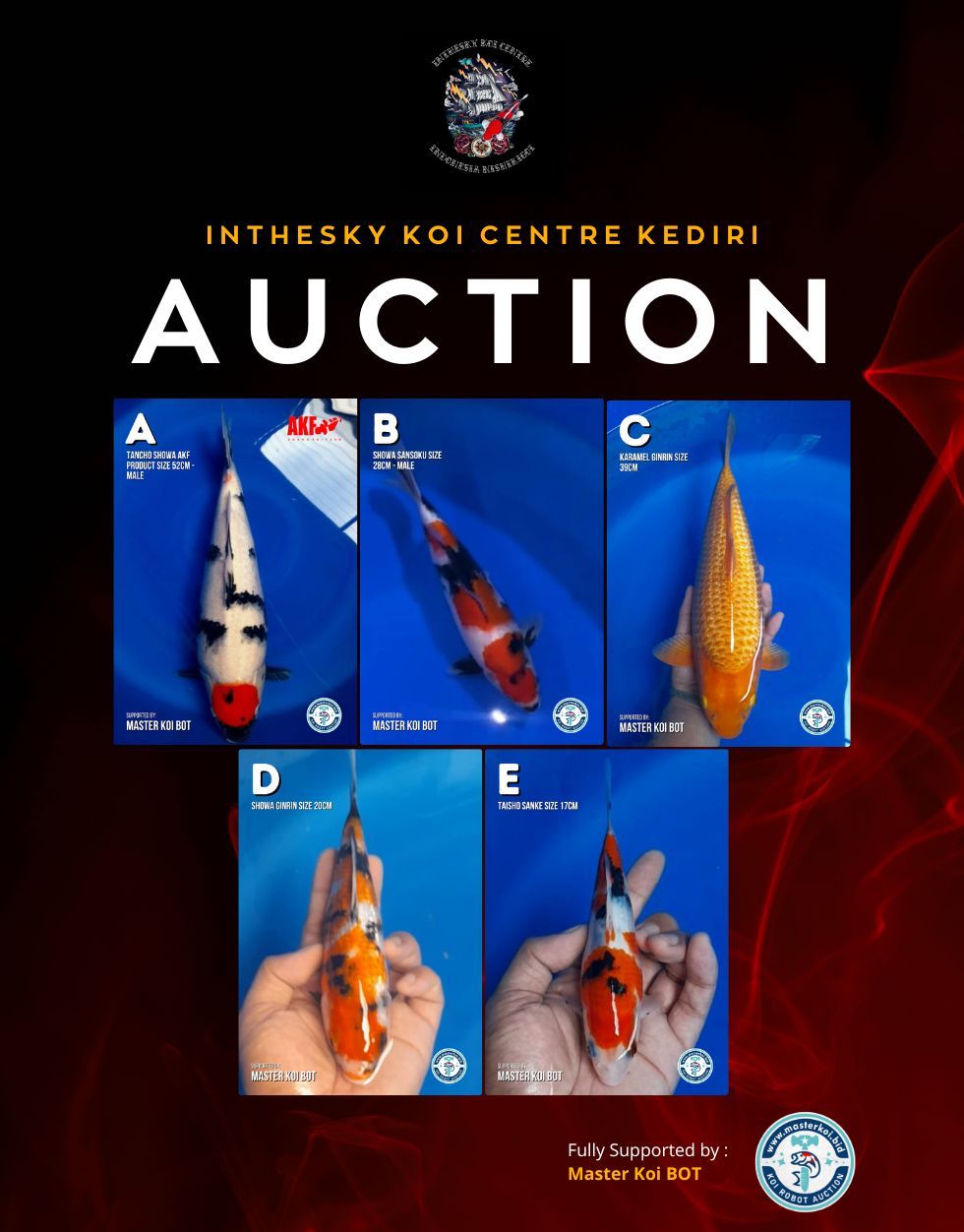 Lelang Koi Online, Jual Beli Ikan Koi, Pasar Koi Terbaik, Agen Lelang Koi, Penawaran Koi Berkualitas, Harga Jual Koi, Lelang Ikan Koi Import, Beli Koi Online, Jual Koi Murah, Koi Showroom, Penjual Koi Terpercaya, Lelang Koi Jakarta, Jual Koi Lokal, Koi Kualitas Unggul, Harga Terbaik Koi, Jual Koi Indukan, Lelang Ikan Hias Koi, Pasar Koi Indonesia, Beli Koi Berkualitas Tinggi, Koi Farm Terbesar, Jual Beli Koi Impor, Lelang Ikan Koi Kualitas Premium, Daftar Harga Koi Terbaru, Pusat Jual Beli Koi, Info Lelang Koi Hari Ini.