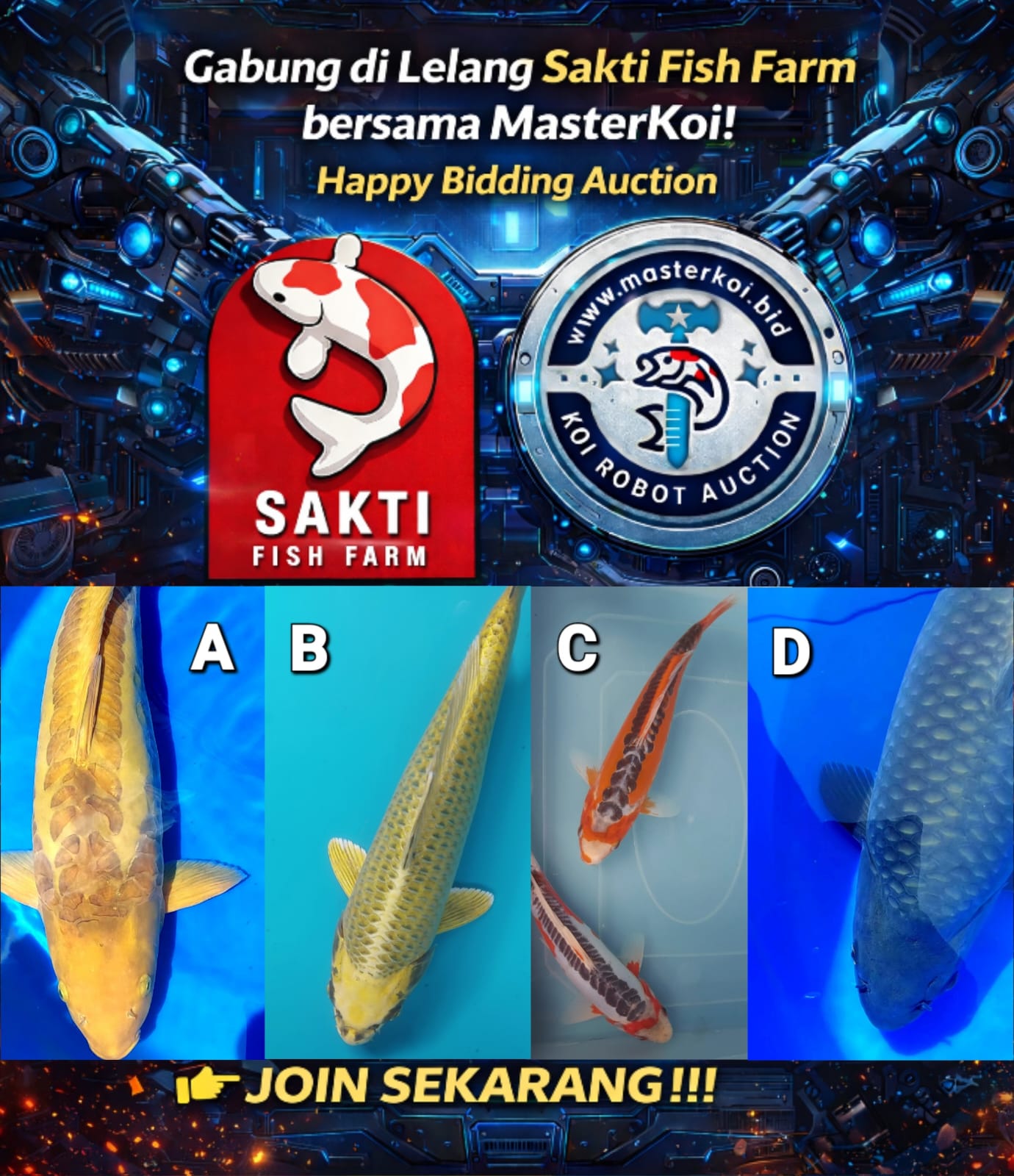Lelang Koi Online, Jual Beli Ikan Koi, Pasar Koi Terbaik, Agen Lelang Koi, Penawaran Koi Berkualitas, Harga Jual Koi, Lelang Ikan Koi Import, Beli Koi Online, Jual Koi Murah, Koi Showroom, Penjual Koi Terpercaya, Lelang Koi Jakarta, Jual Koi Lokal, Koi Kualitas Unggul, Harga Terbaik Koi, Jual Koi Indukan, Lelang Ikan Hias Koi, Pasar Koi Indonesia, Beli Koi Berkualitas Tinggi, Koi Farm Terbesar, Jual Beli Koi Impor, Lelang Ikan Koi Kualitas Premium, Daftar Harga Koi Terbaru, Pusat Jual Beli Koi, Info Lelang Koi Hari Ini.