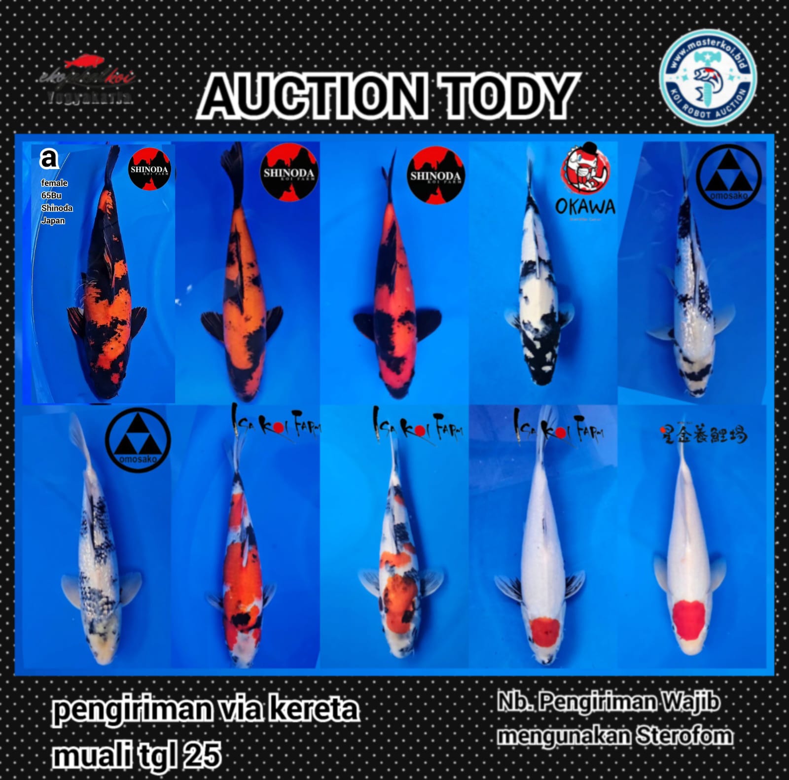 Lelang Koi Online, Jual Beli Ikan Koi, Pasar Koi Terbaik, Agen Lelang Koi, Penawaran Koi Berkualitas, Harga Jual Koi, Lelang Ikan Koi Import, Beli Koi Online, Jual Koi Murah, Koi Showroom, Penjual Koi Terpercaya, Lelang Koi Jakarta, Jual Koi Lokal, Koi Kualitas Unggul, Harga Terbaik Koi, Jual Koi Indukan, Lelang Ikan Hias Koi, Pasar Koi Indonesia, Beli Koi Berkualitas Tinggi, Koi Farm Terbesar, Jual Beli Koi Impor, Lelang Ikan Koi Kualitas Premium, Daftar Harga Koi Terbaru, Pusat Jual Beli Koi, Info Lelang Koi Hari Ini.