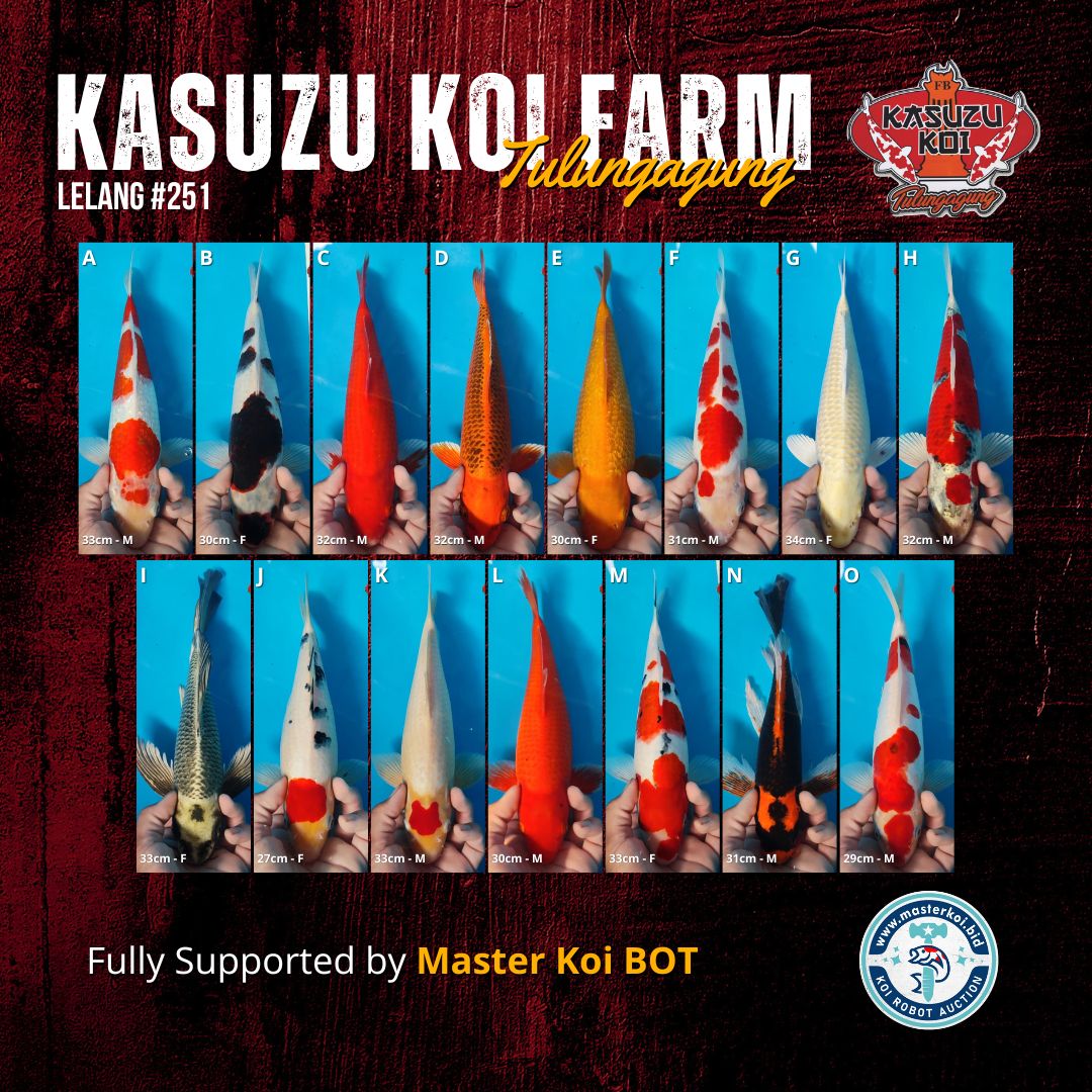 Lelang Koi Online, Jual Beli Ikan Koi, Pasar Koi Terbaik, Agen Lelang Koi, Penawaran Koi Berkualitas, Harga Jual Koi, Lelang Ikan Koi Import, Beli Koi Online, Jual Koi Murah, Koi Showroom, Penjual Koi Terpercaya, Lelang Koi Jakarta, Jual Koi Lokal, Koi Kualitas Unggul, Harga Terbaik Koi, Jual Koi Indukan, Lelang Ikan Hias Koi, Pasar Koi Indonesia, Beli Koi Berkualitas Tinggi, Koi Farm Terbesar, Jual Beli Koi Impor, Lelang Ikan Koi Kualitas Premium, Daftar Harga Koi Terbaru, Pusat Jual Beli Koi, Info Lelang Koi Hari Ini.