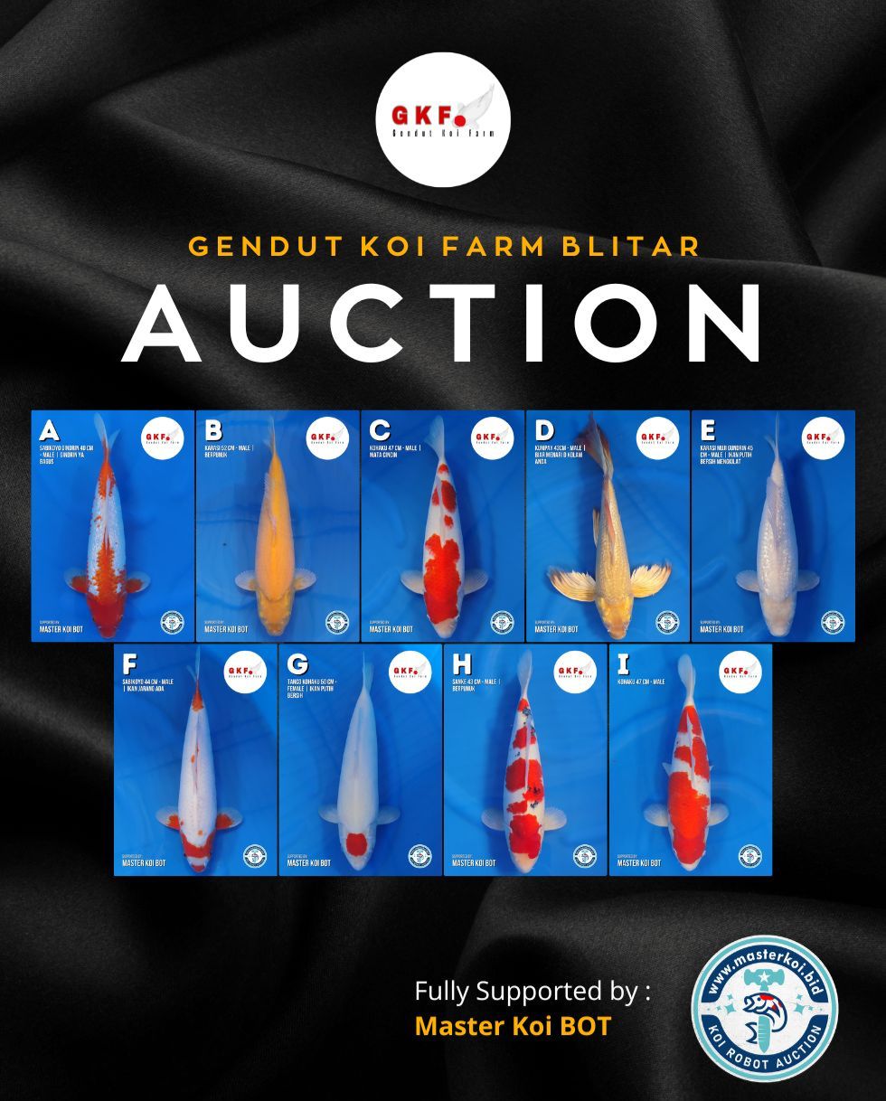 Lelang Koi Online, Jual Beli Ikan Koi, Pasar Koi Terbaik, Agen Lelang Koi, Penawaran Koi Berkualitas, Harga Jual Koi, Lelang Ikan Koi Import, Beli Koi Online, Jual Koi Murah, Koi Showroom, Penjual Koi Terpercaya, Lelang Koi Jakarta, Jual Koi Lokal, Koi Kualitas Unggul, Harga Terbaik Koi, Jual Koi Indukan, Lelang Ikan Hias Koi, Pasar Koi Indonesia, Beli Koi Berkualitas Tinggi, Koi Farm Terbesar, Jual Beli Koi Impor, Lelang Ikan Koi Kualitas Premium, Daftar Harga Koi Terbaru, Pusat Jual Beli Koi, Info Lelang Koi Hari Ini.