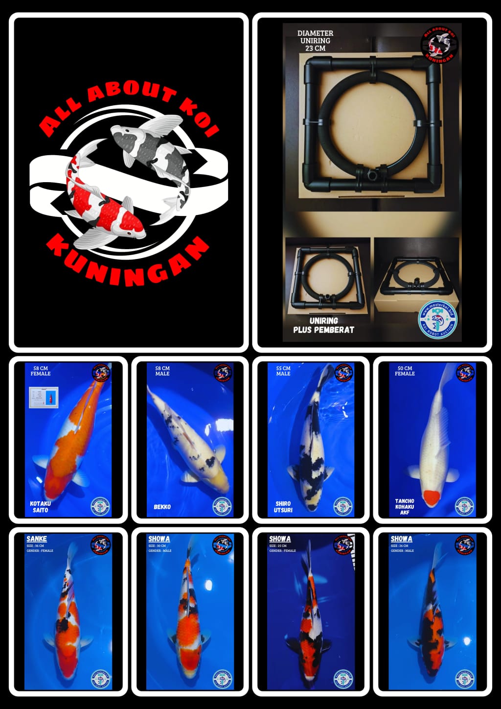 Lelang Koi Online, Jual Beli Ikan Koi, Pasar Koi Terbaik, Agen Lelang Koi, Penawaran Koi Berkualitas, Harga Jual Koi, Lelang Ikan Koi Import, Beli Koi Online, Jual Koi Murah, Koi Showroom, Penjual Koi Terpercaya, Lelang Koi Jakarta, Jual Koi Lokal, Koi Kualitas Unggul, Harga Terbaik Koi, Jual Koi Indukan, Lelang Ikan Hias Koi, Pasar Koi Indonesia, Beli Koi Berkualitas Tinggi, Koi Farm Terbesar, Jual Beli Koi Impor, Lelang Ikan Koi Kualitas Premium, Daftar Harga Koi Terbaru, Pusat Jual Beli Koi, Info Lelang Koi Hari Ini.