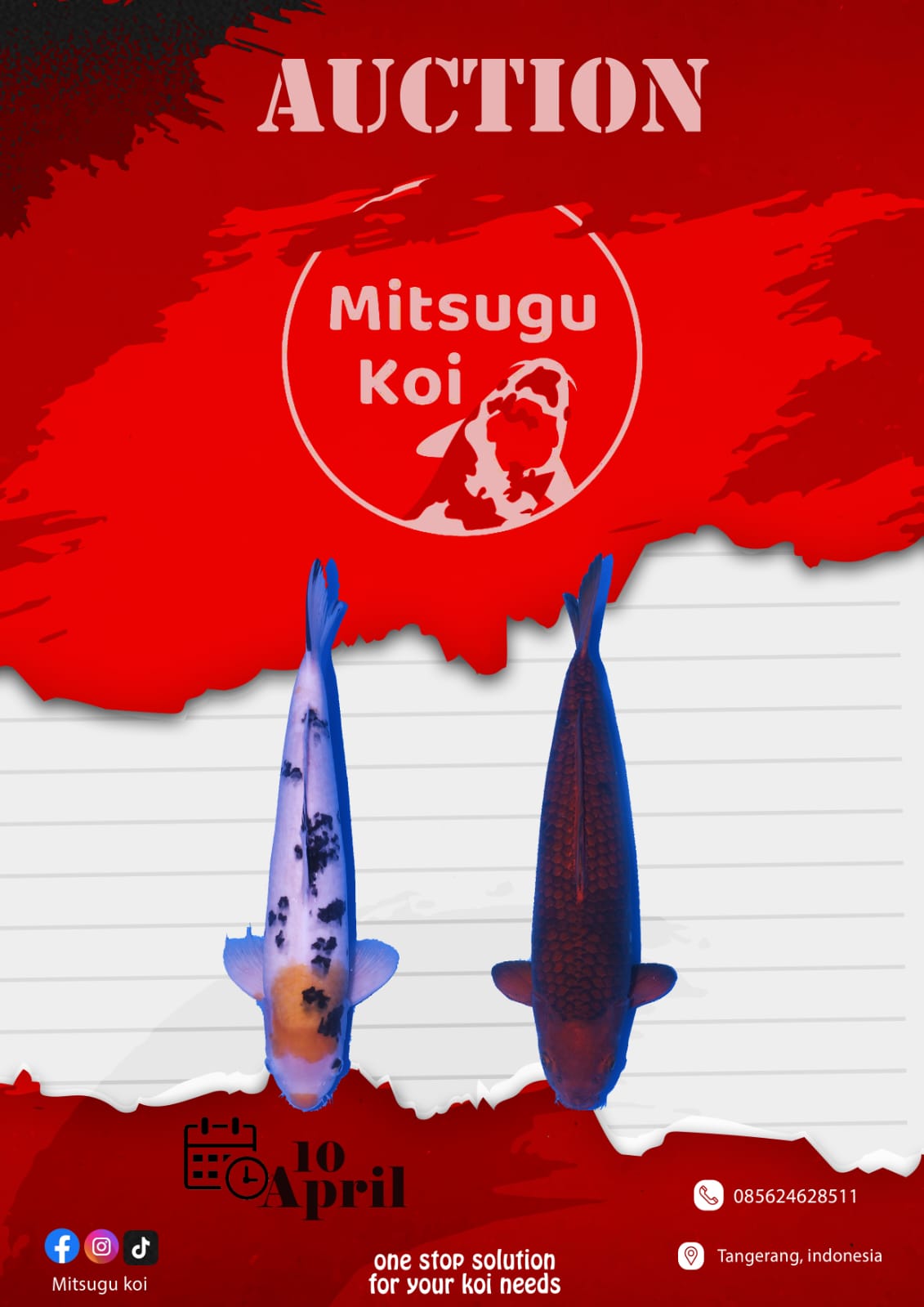 Lelang Koi Online, Jual Beli Ikan Koi, Pasar Koi Terbaik, Agen Lelang Koi, Penawaran Koi Berkualitas, Harga Jual Koi, Lelang Ikan Koi Import, Beli Koi Online, Jual Koi Murah, Koi Showroom, Penjual Koi Terpercaya, Lelang Koi Jakarta, Jual Koi Lokal, Koi Kualitas Unggul, Harga Terbaik Koi, Jual Koi Indukan, Lelang Ikan Hias Koi, Pasar Koi Indonesia, Beli Koi Berkualitas Tinggi, Koi Farm Terbesar, Jual Beli Koi Impor, Lelang Ikan Koi Kualitas Premium, Daftar Harga Koi Terbaru, Pusat Jual Beli Koi, Info Lelang Koi Hari Ini.