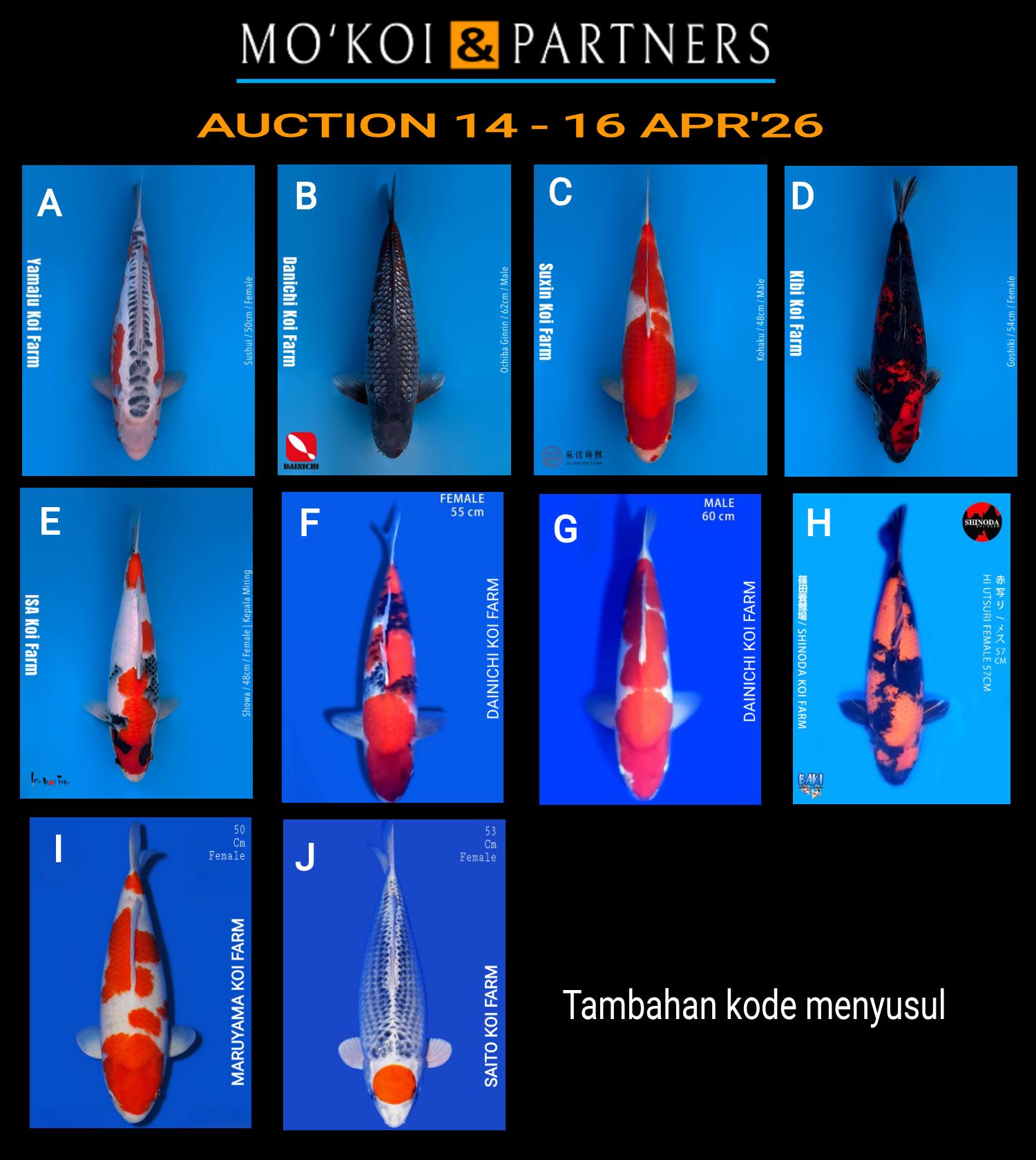 Lelang Koi Online, Jual Beli Ikan Koi, Pasar Koi Terbaik, Agen Lelang Koi, Penawaran Koi Berkualitas, Harga Jual Koi, Lelang Ikan Koi Import, Beli Koi Online, Jual Koi Murah, Koi Showroom, Penjual Koi Terpercaya, Lelang Koi Jakarta, Jual Koi Lokal, Koi Kualitas Unggul, Harga Terbaik Koi, Jual Koi Indukan, Lelang Ikan Hias Koi, Pasar Koi Indonesia, Beli Koi Berkualitas Tinggi, Koi Farm Terbesar, Jual Beli Koi Impor, Lelang Ikan Koi Kualitas Premium, Daftar Harga Koi Terbaru, Pusat Jual Beli Koi, Info Lelang Koi Hari Ini.