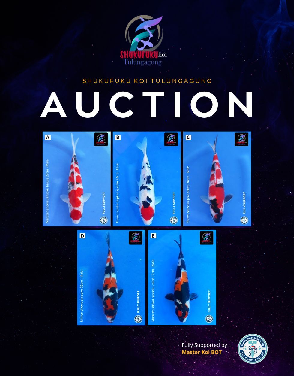 Lelang Koi Online, Jual Beli Ikan Koi, Pasar Koi Terbaik, Agen Lelang Koi, Penawaran Koi Berkualitas, Harga Jual Koi, Lelang Ikan Koi Import, Beli Koi Online, Jual Koi Murah, Koi Showroom, Penjual Koi Terpercaya, Lelang Koi Jakarta, Jual Koi Lokal, Koi Kualitas Unggul, Harga Terbaik Koi, Jual Koi Indukan, Lelang Ikan Hias Koi, Pasar Koi Indonesia, Beli Koi Berkualitas Tinggi, Koi Farm Terbesar, Jual Beli Koi Impor, Lelang Ikan Koi Kualitas Premium, Daftar Harga Koi Terbaru, Pusat Jual Beli Koi, Info Lelang Koi Hari Ini.