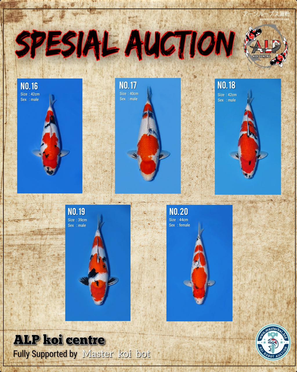 Lelang Koi Online, Jual Beli Ikan Koi, Pasar Koi Terbaik, Agen Lelang Koi, Penawaran Koi Berkualitas, Harga Jual Koi, Lelang Ikan Koi Import, Beli Koi Online, Jual Koi Murah, Koi Showroom, Penjual Koi Terpercaya, Lelang Koi Jakarta, Jual Koi Lokal, Koi Kualitas Unggul, Harga Terbaik Koi, Jual Koi Indukan, Lelang Ikan Hias Koi, Pasar Koi Indonesia, Beli Koi Berkualitas Tinggi, Koi Farm Terbesar, Jual Beli Koi Impor, Lelang Ikan Koi Kualitas Premium, Daftar Harga Koi Terbaru, Pusat Jual Beli Koi, Info Lelang Koi Hari Ini.