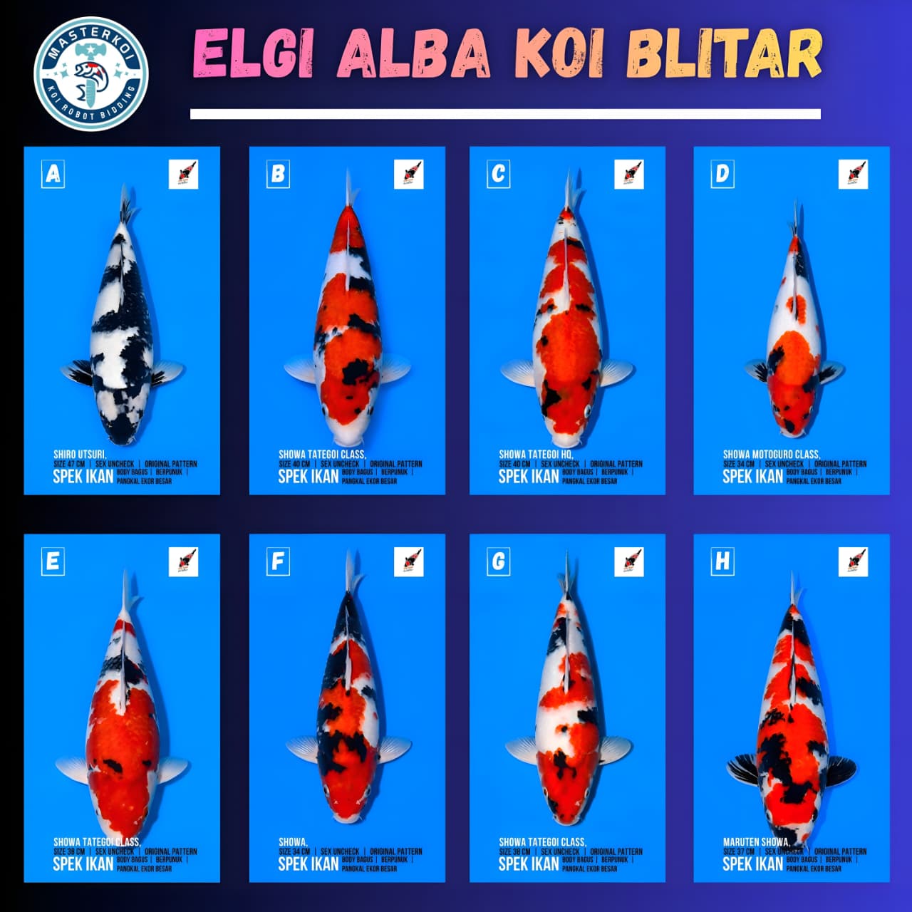 Lelang Koi Online, Jual Beli Ikan Koi, Pasar Koi Terbaik, Agen Lelang Koi, Penawaran Koi Berkualitas, Harga Jual Koi, Lelang Ikan Koi Import, Beli Koi Online, Jual Koi Murah, Koi Showroom, Penjual Koi Terpercaya, Lelang Koi Jakarta, Jual Koi Lokal, Koi Kualitas Unggul, Harga Terbaik Koi, Jual Koi Indukan, Lelang Ikan Hias Koi, Pasar Koi Indonesia, Beli Koi Berkualitas Tinggi, Koi Farm Terbesar, Jual Beli Koi Impor, Lelang Ikan Koi Kualitas Premium, Daftar Harga Koi Terbaru, Pusat Jual Beli Koi, Info Lelang Koi Hari Ini.