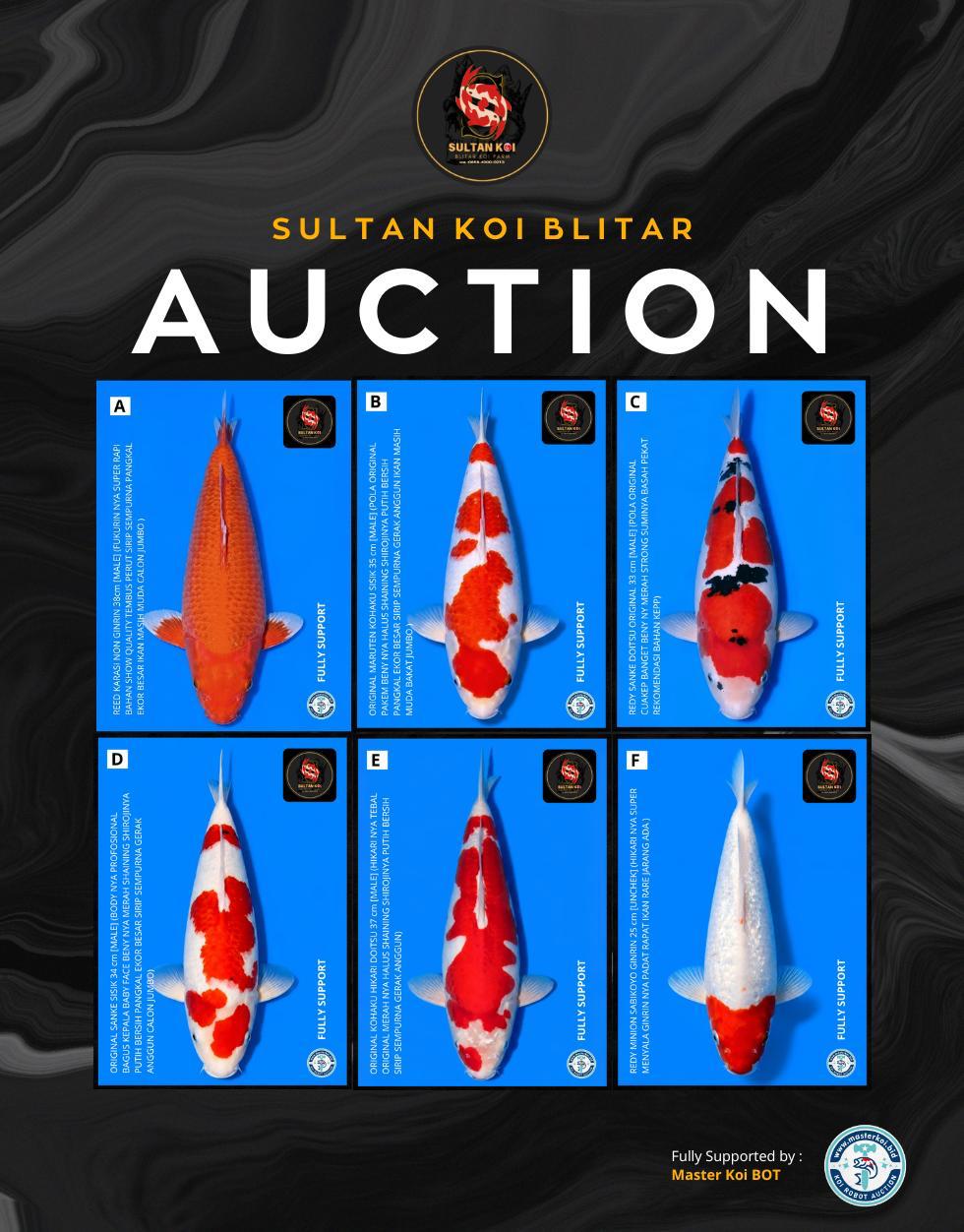Lelang Koi Online, Jual Beli Ikan Koi, Pasar Koi Terbaik, Agen Lelang Koi, Penawaran Koi Berkualitas, Harga Jual Koi, Lelang Ikan Koi Import, Beli Koi Online, Jual Koi Murah, Koi Showroom, Penjual Koi Terpercaya, Lelang Koi Jakarta, Jual Koi Lokal, Koi Kualitas Unggul, Harga Terbaik Koi, Jual Koi Indukan, Lelang Ikan Hias Koi, Pasar Koi Indonesia, Beli Koi Berkualitas Tinggi, Koi Farm Terbesar, Jual Beli Koi Impor, Lelang Ikan Koi Kualitas Premium, Daftar Harga Koi Terbaru, Pusat Jual Beli Koi, Info Lelang Koi Hari Ini.