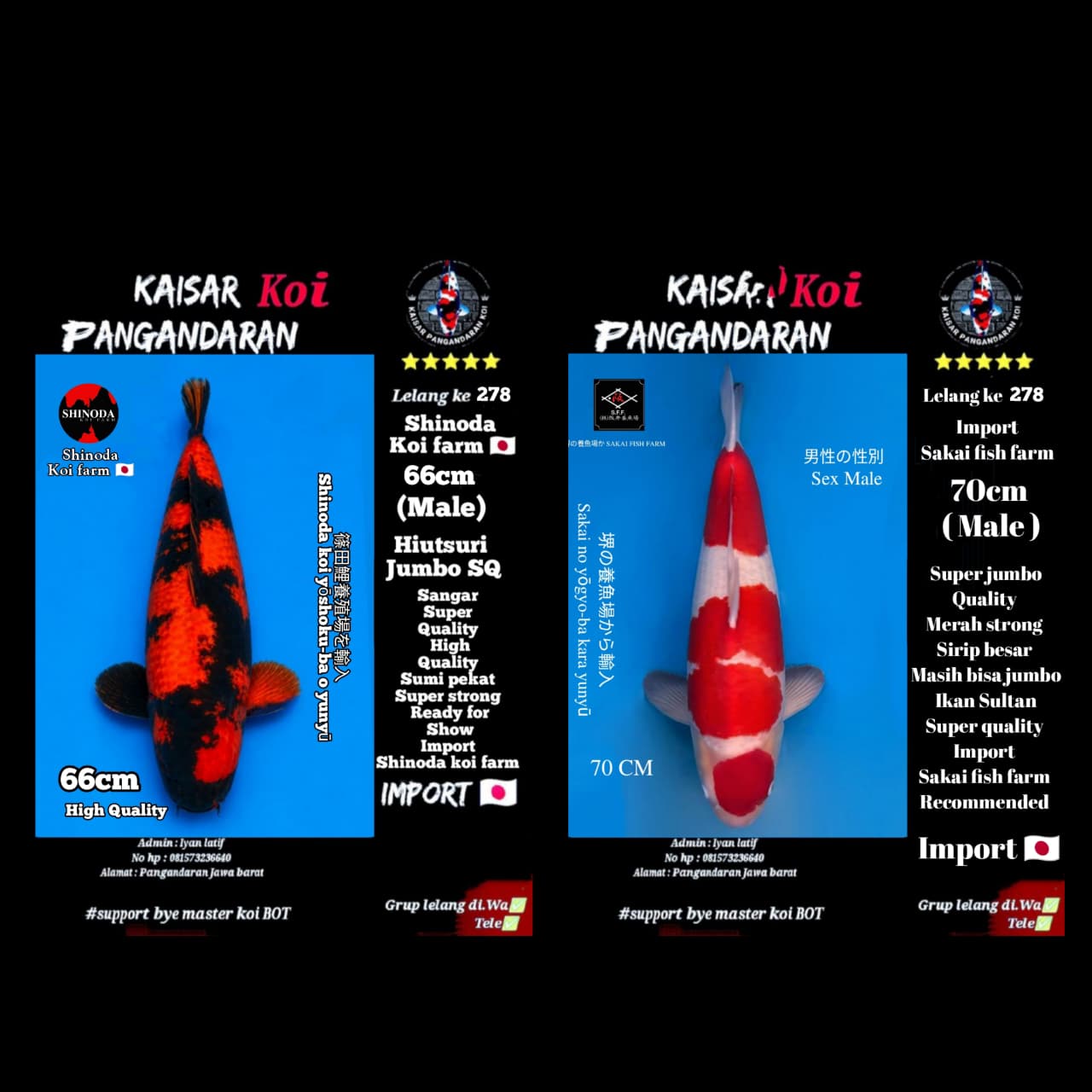Lelang Koi Online, Jual Beli Ikan Koi, Pasar Koi Terbaik, Agen Lelang Koi, Penawaran Koi Berkualitas, Harga Jual Koi, Lelang Ikan Koi Import, Beli Koi Online, Jual Koi Murah, Koi Showroom, Penjual Koi Terpercaya, Lelang Koi Jakarta, Jual Koi Lokal, Koi Kualitas Unggul, Harga Terbaik Koi, Jual Koi Indukan, Lelang Ikan Hias Koi, Pasar Koi Indonesia, Beli Koi Berkualitas Tinggi, Koi Farm Terbesar, Jual Beli Koi Impor, Lelang Ikan Koi Kualitas Premium, Daftar Harga Koi Terbaru, Pusat Jual Beli Koi, Info Lelang Koi Hari Ini.
