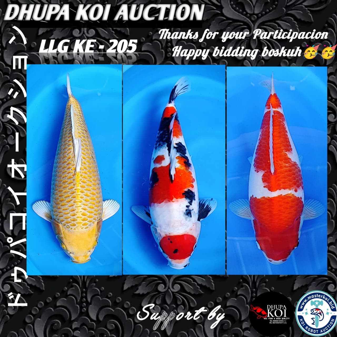 Lelang Koi Online, Jual Beli Ikan Koi, Pasar Koi Terbaik, Agen Lelang Koi, Penawaran Koi Berkualitas, Harga Jual Koi, Lelang Ikan Koi Import, Beli Koi Online, Jual Koi Murah, Koi Showroom, Penjual Koi Terpercaya, Lelang Koi Jakarta, Jual Koi Lokal, Koi Kualitas Unggul, Harga Terbaik Koi, Jual Koi Indukan, Lelang Ikan Hias Koi, Pasar Koi Indonesia, Beli Koi Berkualitas Tinggi, Koi Farm Terbesar, Jual Beli Koi Impor, Lelang Ikan Koi Kualitas Premium, Daftar Harga Koi Terbaru, Pusat Jual Beli Koi, Info Lelang Koi Hari Ini.