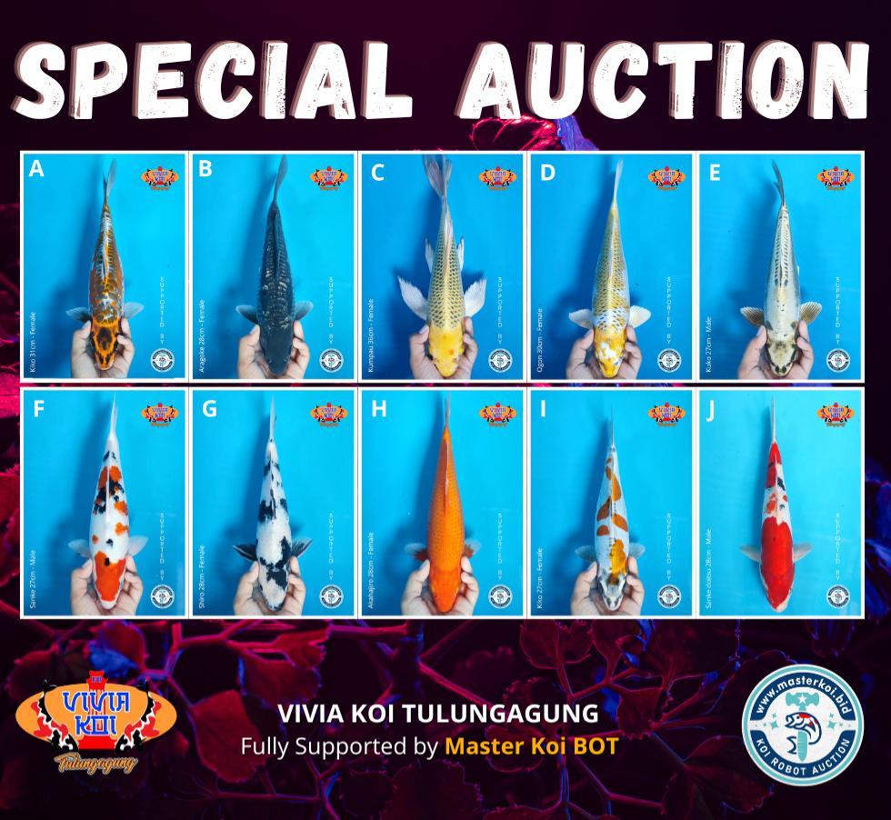 Lelang Koi Online, Jual Beli Ikan Koi, Pasar Koi Terbaik, Agen Lelang Koi, Penawaran Koi Berkualitas, Harga Jual Koi, Lelang Ikan Koi Import, Beli Koi Online, Jual Koi Murah, Koi Showroom, Penjual Koi Terpercaya, Lelang Koi Jakarta, Jual Koi Lokal, Koi Kualitas Unggul, Harga Terbaik Koi, Jual Koi Indukan, Lelang Ikan Hias Koi, Pasar Koi Indonesia, Beli Koi Berkualitas Tinggi, Koi Farm Terbesar, Jual Beli Koi Impor, Lelang Ikan Koi Kualitas Premium, Daftar Harga Koi Terbaru, Pusat Jual Beli Koi, Info Lelang Koi Hari Ini.