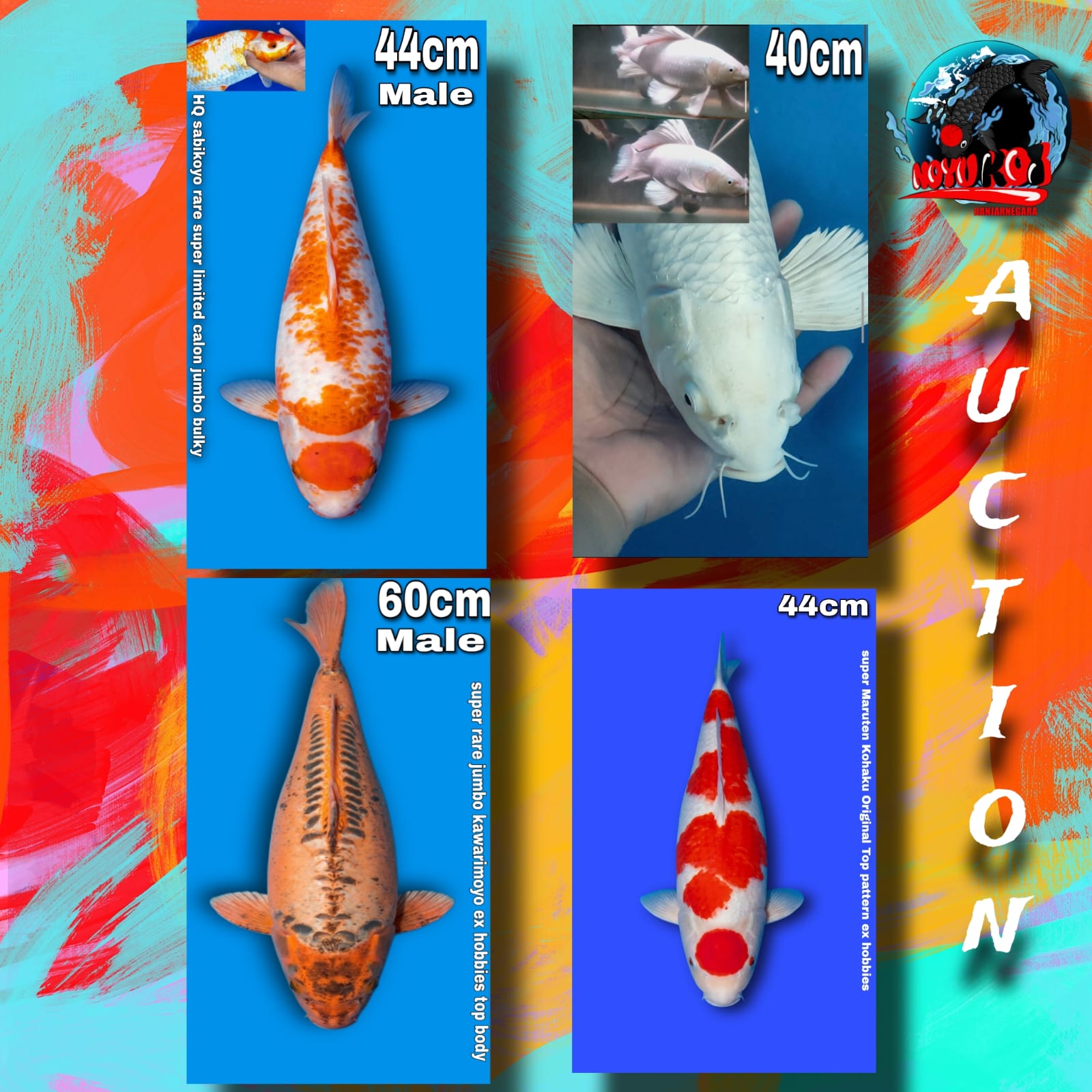 Lelang Koi Online, Jual Beli Ikan Koi, Pasar Koi Terbaik, Agen Lelang Koi, Penawaran Koi Berkualitas, Harga Jual Koi, Lelang Ikan Koi Import, Beli Koi Online, Jual Koi Murah, Koi Showroom, Penjual Koi Terpercaya, Lelang Koi Jakarta, Jual Koi Lokal, Koi Kualitas Unggul, Harga Terbaik Koi, Jual Koi Indukan, Lelang Ikan Hias Koi, Pasar Koi Indonesia, Beli Koi Berkualitas Tinggi, Koi Farm Terbesar, Jual Beli Koi Impor, Lelang Ikan Koi Kualitas Premium, Daftar Harga Koi Terbaru, Pusat Jual Beli Koi, Info Lelang Koi Hari Ini.