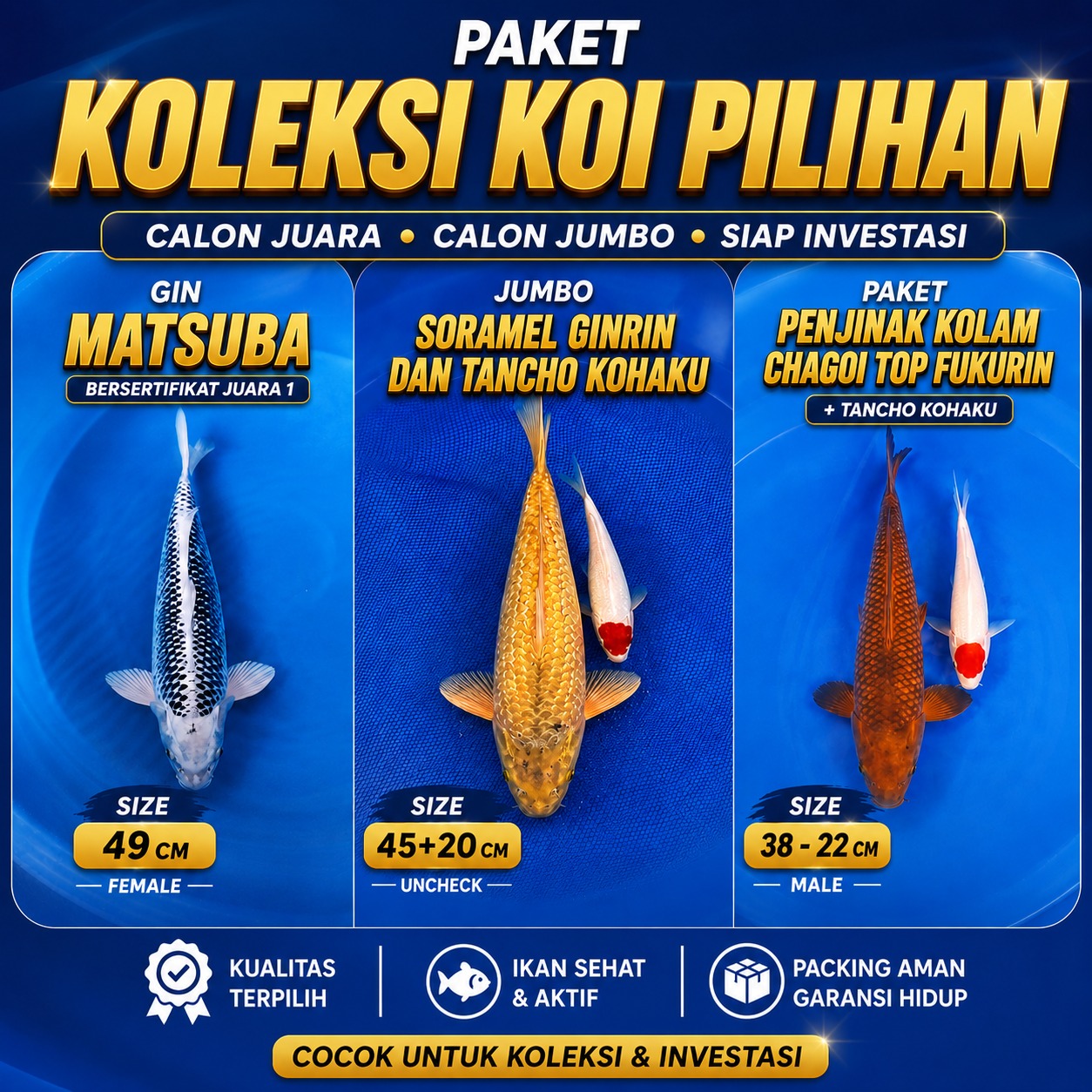 Lelang Koi Online, Jual Beli Ikan Koi, Pasar Koi Terbaik, Agen Lelang Koi, Penawaran Koi Berkualitas, Harga Jual Koi, Lelang Ikan Koi Import, Beli Koi Online, Jual Koi Murah, Koi Showroom, Penjual Koi Terpercaya, Lelang Koi Jakarta, Jual Koi Lokal, Koi Kualitas Unggul, Harga Terbaik Koi, Jual Koi Indukan, Lelang Ikan Hias Koi, Pasar Koi Indonesia, Beli Koi Berkualitas Tinggi, Koi Farm Terbesar, Jual Beli Koi Impor, Lelang Ikan Koi Kualitas Premium, Daftar Harga Koi Terbaru, Pusat Jual Beli Koi, Info Lelang Koi Hari Ini.