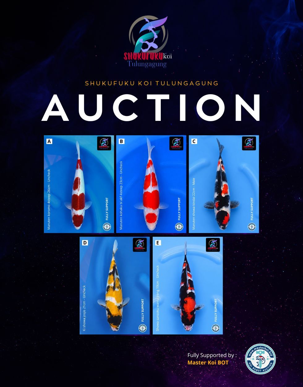 Lelang Koi Online, Jual Beli Ikan Koi, Pasar Koi Terbaik, Agen Lelang Koi, Penawaran Koi Berkualitas, Harga Jual Koi, Lelang Ikan Koi Import, Beli Koi Online, Jual Koi Murah, Koi Showroom, Penjual Koi Terpercaya, Lelang Koi Jakarta, Jual Koi Lokal, Koi Kualitas Unggul, Harga Terbaik Koi, Jual Koi Indukan, Lelang Ikan Hias Koi, Pasar Koi Indonesia, Beli Koi Berkualitas Tinggi, Koi Farm Terbesar, Jual Beli Koi Impor, Lelang Ikan Koi Kualitas Premium, Daftar Harga Koi Terbaru, Pusat Jual Beli Koi, Info Lelang Koi Hari Ini.