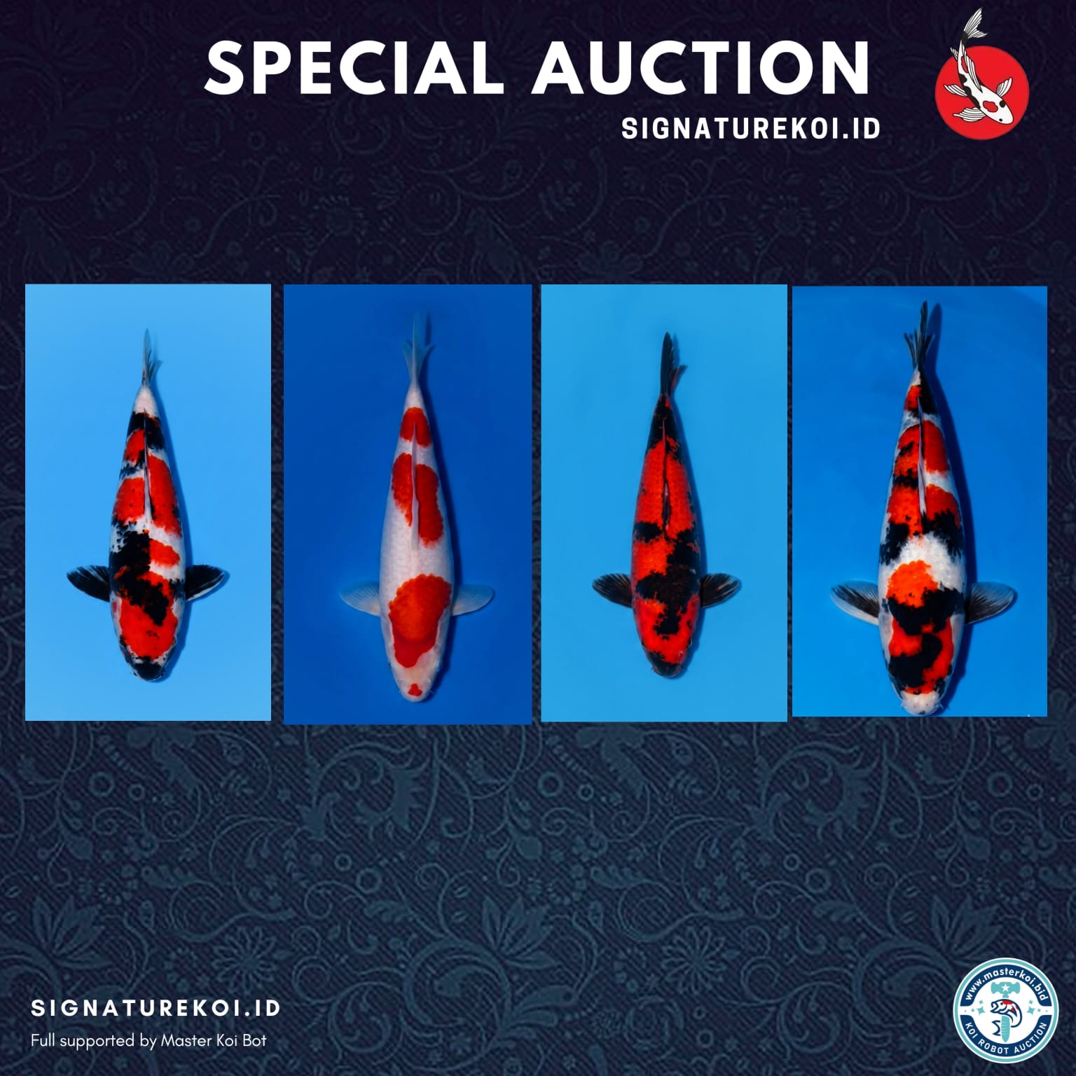 Lelang Koi Online, Jual Beli Ikan Koi, Pasar Koi Terbaik, Agen Lelang Koi, Penawaran Koi Berkualitas, Harga Jual Koi, Lelang Ikan Koi Import, Beli Koi Online, Jual Koi Murah, Koi Showroom, Penjual Koi Terpercaya, Lelang Koi Jakarta, Jual Koi Lokal, Koi Kualitas Unggul, Harga Terbaik Koi, Jual Koi Indukan, Lelang Ikan Hias Koi, Pasar Koi Indonesia, Beli Koi Berkualitas Tinggi, Koi Farm Terbesar, Jual Beli Koi Impor, Lelang Ikan Koi Kualitas Premium, Daftar Harga Koi Terbaru, Pusat Jual Beli Koi, Info Lelang Koi Hari Ini.