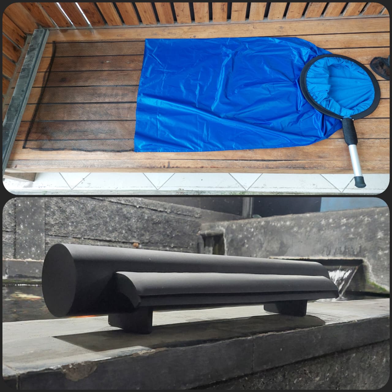 Lelang Koi Online, Jual Beli Ikan Koi, Pasar Koi Terbaik, Agen Lelang Koi, Penawaran Koi Berkualitas, Harga Jual Koi, Lelang Ikan Koi Import, Beli Koi Online, Jual Koi Murah, Koi Showroom, Penjual Koi Terpercaya, Lelang Koi Jakarta, Jual Koi Lokal, Koi Kualitas Unggul, Harga Terbaik Koi, Jual Koi Indukan, Lelang Ikan Hias Koi, Pasar Koi Indonesia, Beli Koi Berkualitas Tinggi, Koi Farm Terbesar, Jual Beli Koi Impor, Lelang Ikan Koi Kualitas Premium, Daftar Harga Koi Terbaru, Pusat Jual Beli Koi, Info Lelang Koi Hari Ini.