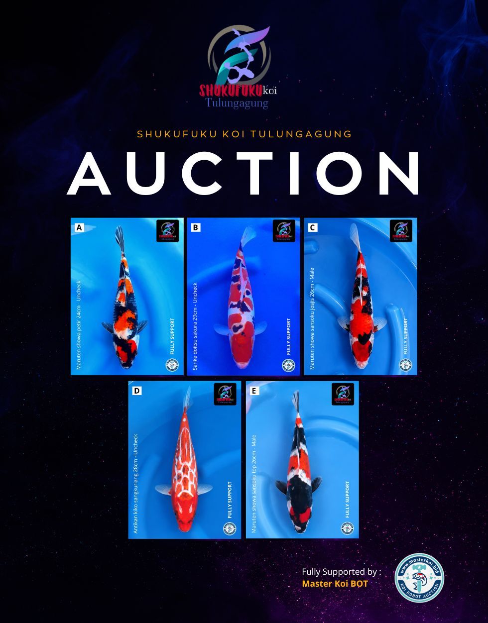 Lelang Koi Online, Jual Beli Ikan Koi, Pasar Koi Terbaik, Agen Lelang Koi, Penawaran Koi Berkualitas, Harga Jual Koi, Lelang Ikan Koi Import, Beli Koi Online, Jual Koi Murah, Koi Showroom, Penjual Koi Terpercaya, Lelang Koi Jakarta, Jual Koi Lokal, Koi Kualitas Unggul, Harga Terbaik Koi, Jual Koi Indukan, Lelang Ikan Hias Koi, Pasar Koi Indonesia, Beli Koi Berkualitas Tinggi, Koi Farm Terbesar, Jual Beli Koi Impor, Lelang Ikan Koi Kualitas Premium, Daftar Harga Koi Terbaru, Pusat Jual Beli Koi, Info Lelang Koi Hari Ini.