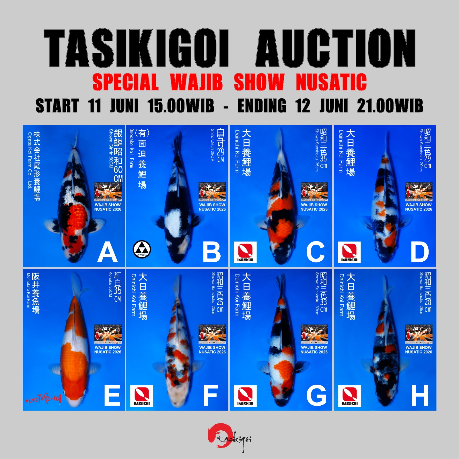 Lelang Koi Online, Jual Beli Ikan Koi, Pasar Koi Terbaik, Agen Lelang Koi, Penawaran Koi Berkualitas, Harga Jual Koi, Lelang Ikan Koi Import, Beli Koi Online, Jual Koi Murah, Koi Showroom, Penjual Koi Terpercaya, Lelang Koi Jakarta, Jual Koi Lokal, Koi Kualitas Unggul, Harga Terbaik Koi, Jual Koi Indukan, Lelang Ikan Hias Koi, Pasar Koi Indonesia, Beli Koi Berkualitas Tinggi, Koi Farm Terbesar, Jual Beli Koi Impor, Lelang Ikan Koi Kualitas Premium, Daftar Harga Koi Terbaru, Pusat Jual Beli Koi, Info Lelang Koi Hari Ini.