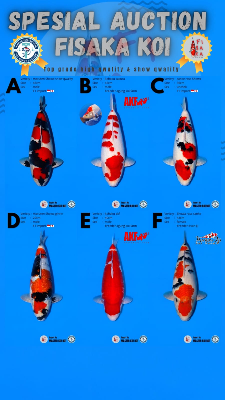 Lelang Koi Online, Jual Beli Ikan Koi, Pasar Koi Terbaik, Agen Lelang Koi, Penawaran Koi Berkualitas, Harga Jual Koi, Lelang Ikan Koi Import, Beli Koi Online, Jual Koi Murah, Koi Showroom, Penjual Koi Terpercaya, Lelang Koi Jakarta, Jual Koi Lokal, Koi Kualitas Unggul, Harga Terbaik Koi, Jual Koi Indukan, Lelang Ikan Hias Koi, Pasar Koi Indonesia, Beli Koi Berkualitas Tinggi, Koi Farm Terbesar, Jual Beli Koi Impor, Lelang Ikan Koi Kualitas Premium, Daftar Harga Koi Terbaru, Pusat Jual Beli Koi, Info Lelang Koi Hari Ini.