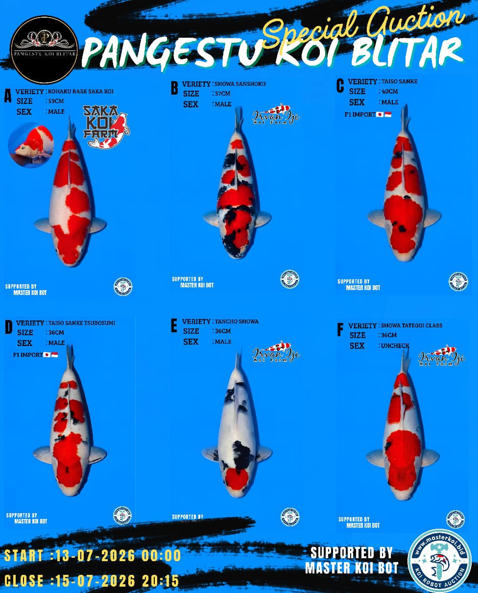 Lelang Koi Online, Jual Beli Ikan Koi, Pasar Koi Terbaik, Agen Lelang Koi, Penawaran Koi Berkualitas, Harga Jual Koi, Lelang Ikan Koi Import, Beli Koi Online, Jual Koi Murah, Koi Showroom, Penjual Koi Terpercaya, Lelang Koi Jakarta, Jual Koi Lokal, Koi Kualitas Unggul, Harga Terbaik Koi, Jual Koi Indukan, Lelang Ikan Hias Koi, Pasar Koi Indonesia, Beli Koi Berkualitas Tinggi, Koi Farm Terbesar, Jual Beli Koi Impor, Lelang Ikan Koi Kualitas Premium, Daftar Harga Koi Terbaru, Pusat Jual Beli Koi, Info Lelang Koi Hari Ini.
