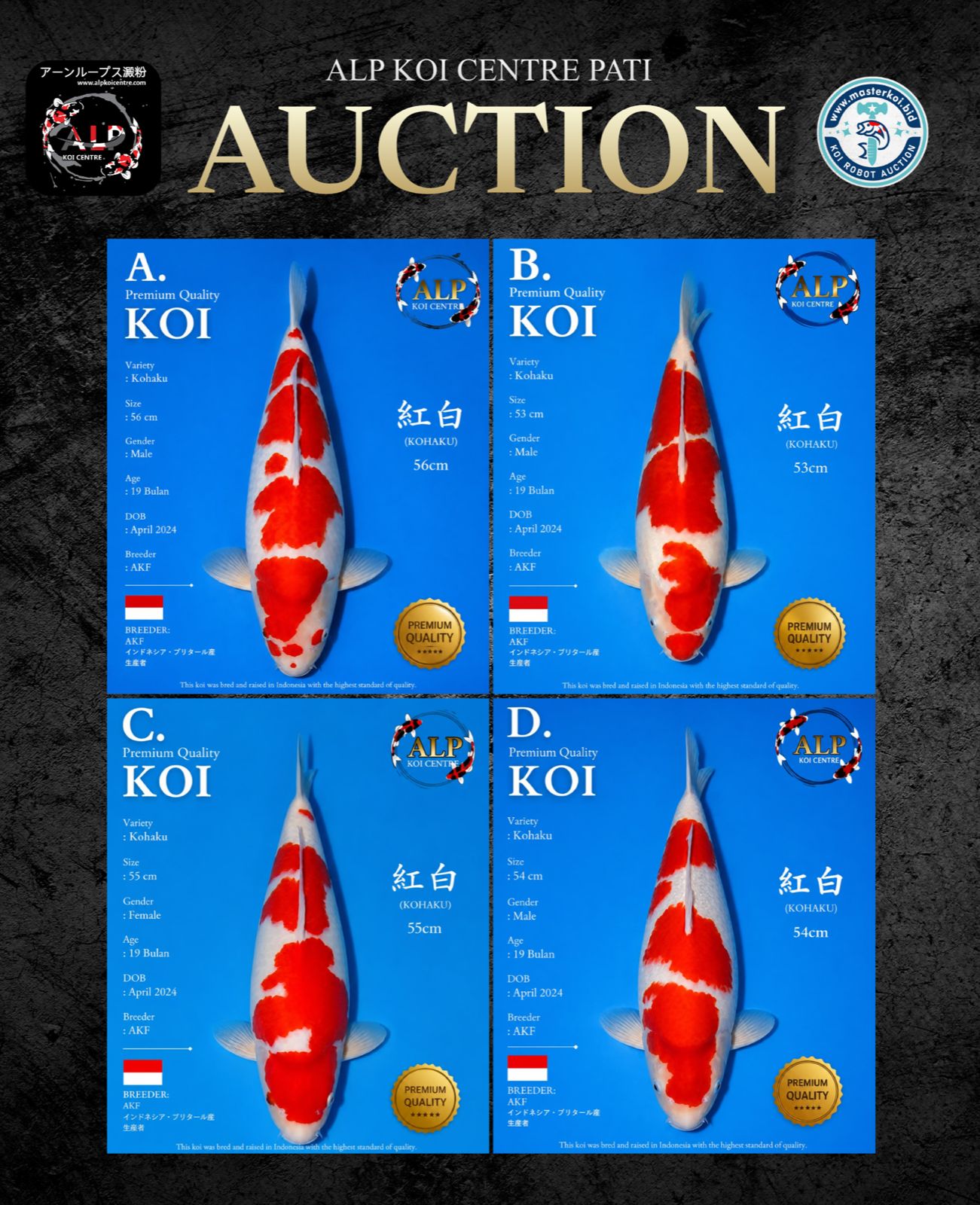 Lelang Koi Online, Jual Beli Ikan Koi, Pasar Koi Terbaik, Agen Lelang Koi, Penawaran Koi Berkualitas, Harga Jual Koi, Lelang Ikan Koi Import, Beli Koi Online, Jual Koi Murah, Koi Showroom, Penjual Koi Terpercaya, Lelang Koi Jakarta, Jual Koi Lokal, Koi Kualitas Unggul, Harga Terbaik Koi, Jual Koi Indukan, Lelang Ikan Hias Koi, Pasar Koi Indonesia, Beli Koi Berkualitas Tinggi, Koi Farm Terbesar, Jual Beli Koi Impor, Lelang Ikan Koi Kualitas Premium, Daftar Harga Koi Terbaru, Pusat Jual Beli Koi, Info Lelang Koi Hari Ini.