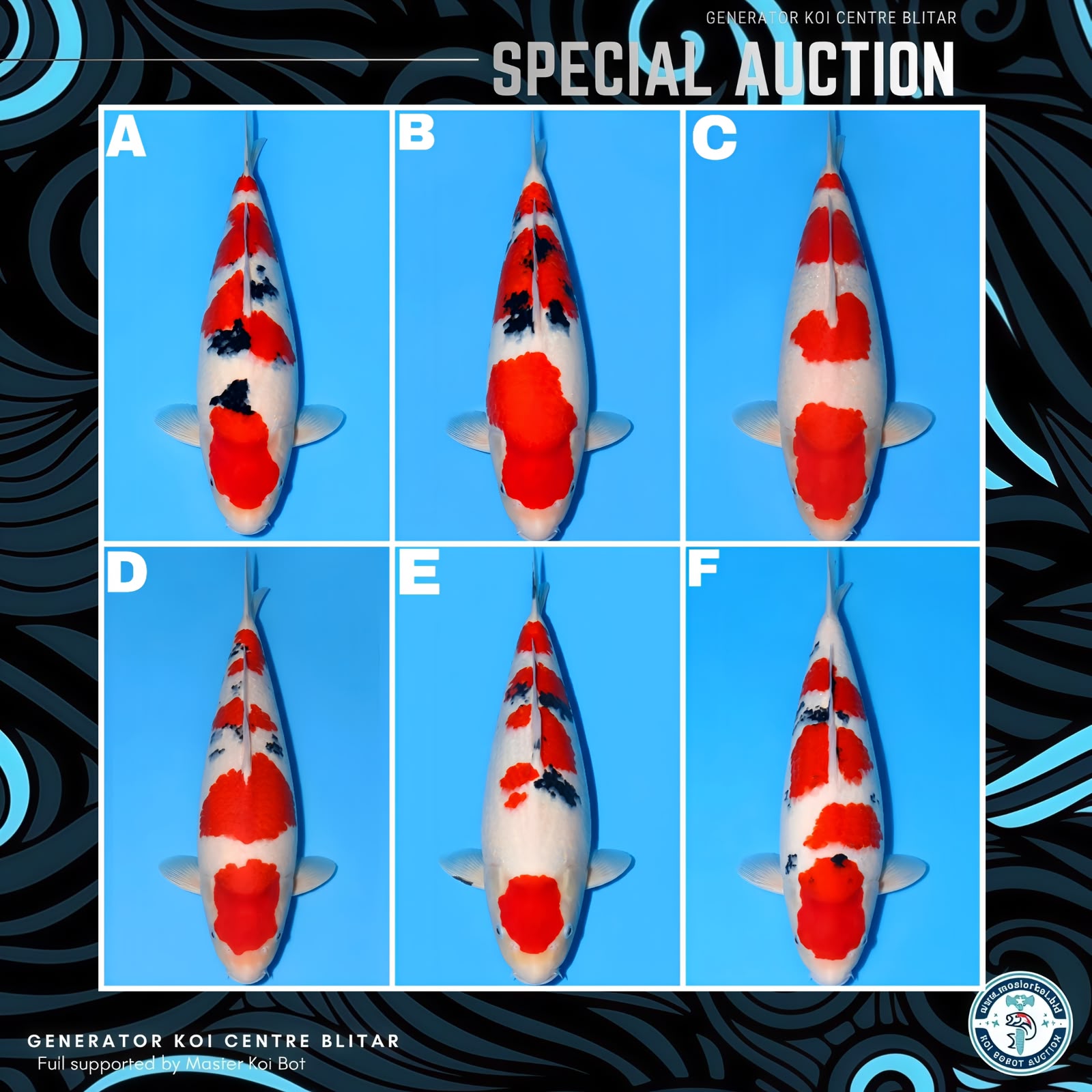 Lelang Koi Online, Jual Beli Ikan Koi, Pasar Koi Terbaik, Agen Lelang Koi, Penawaran Koi Berkualitas, Harga Jual Koi, Lelang Ikan Koi Import, Beli Koi Online, Jual Koi Murah, Koi Showroom, Penjual Koi Terpercaya, Lelang Koi Jakarta, Jual Koi Lokal, Koi Kualitas Unggul, Harga Terbaik Koi, Jual Koi Indukan, Lelang Ikan Hias Koi, Pasar Koi Indonesia, Beli Koi Berkualitas Tinggi, Koi Farm Terbesar, Jual Beli Koi Impor, Lelang Ikan Koi Kualitas Premium, Daftar Harga Koi Terbaru, Pusat Jual Beli Koi, Info Lelang Koi Hari Ini.